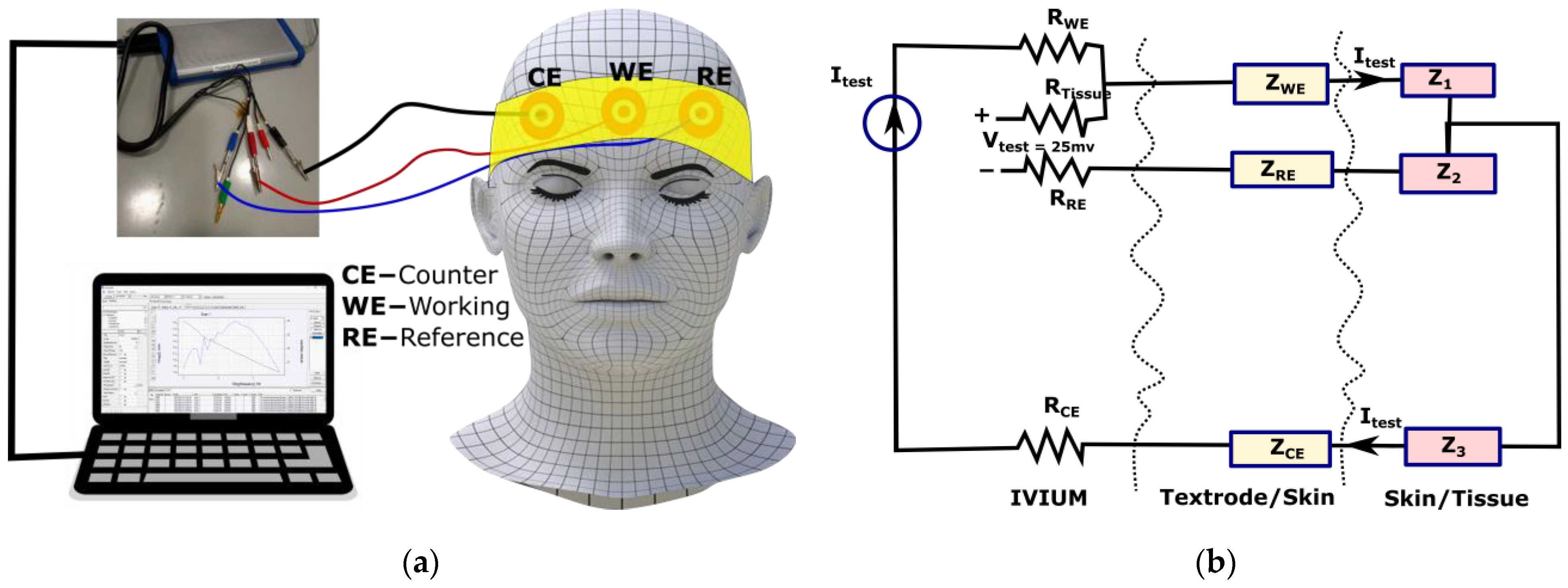 Polymers 15 03673 g005