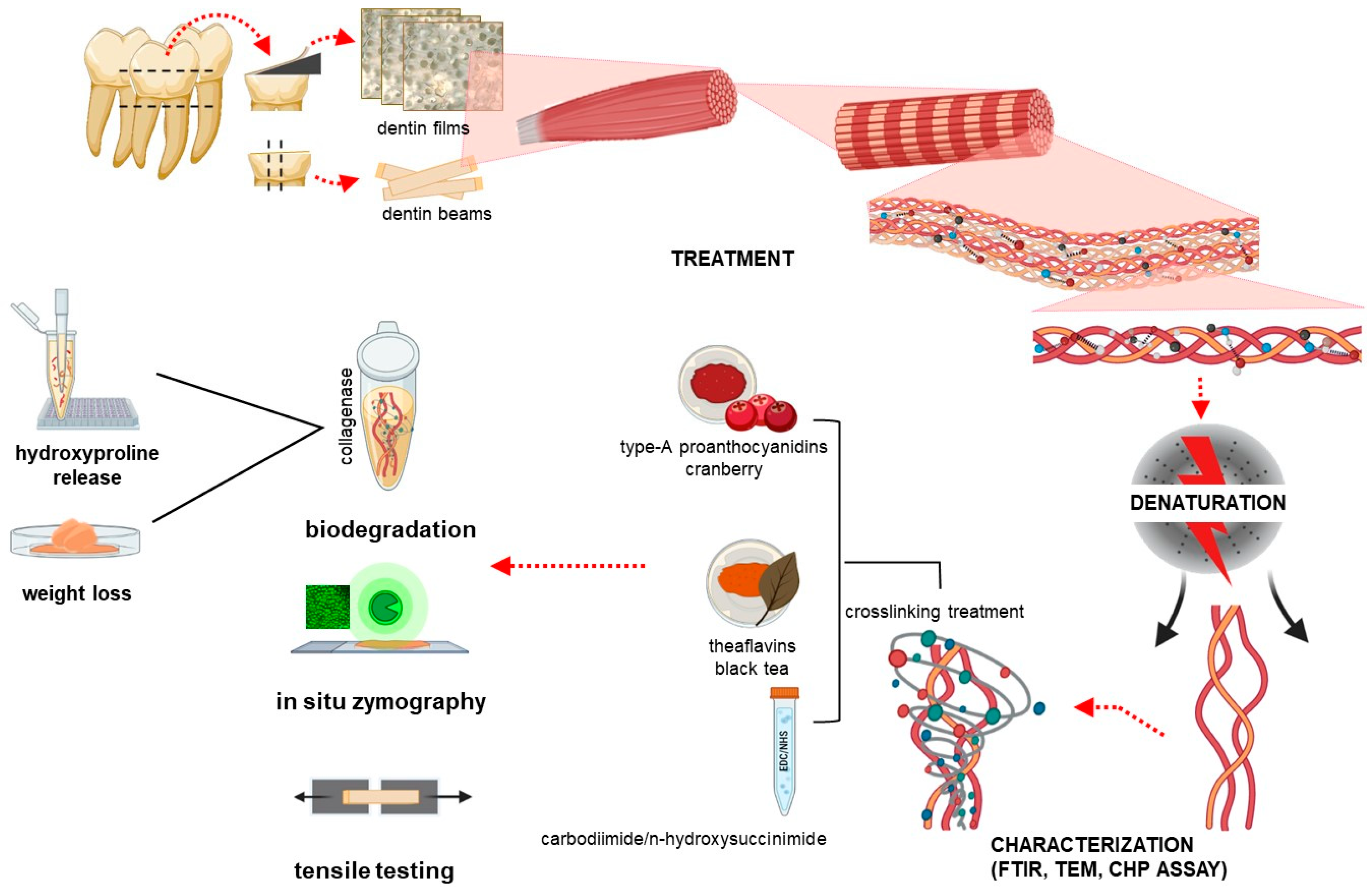 Polymers 15 03683 g001