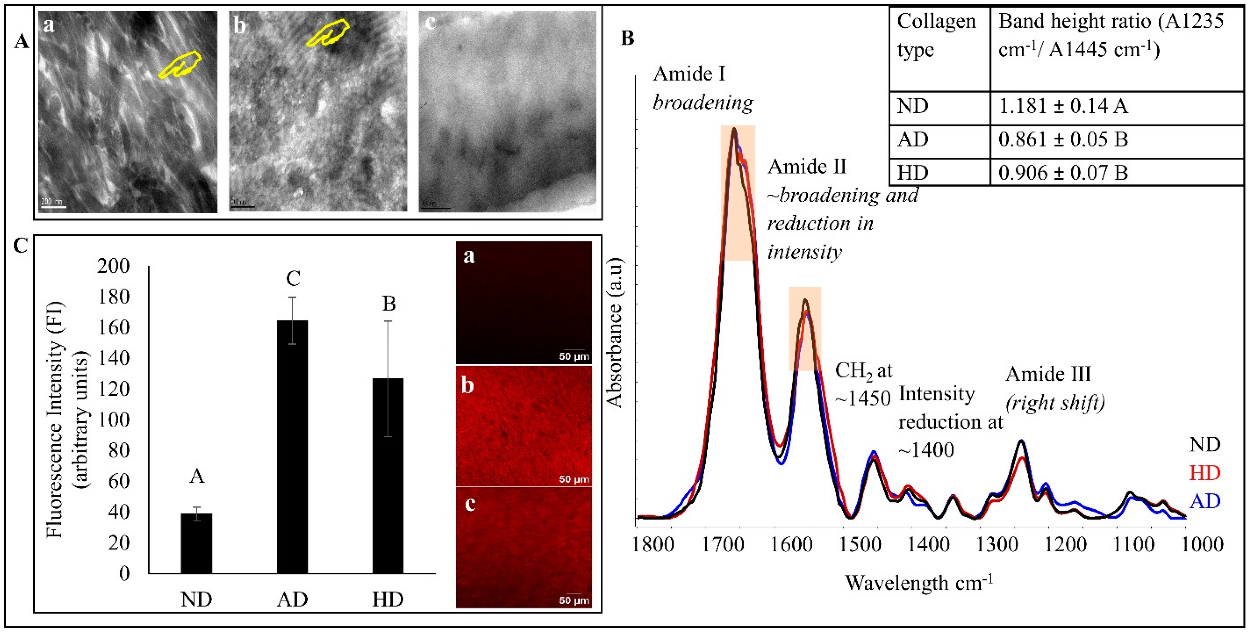 Polymers 15 03683 g002