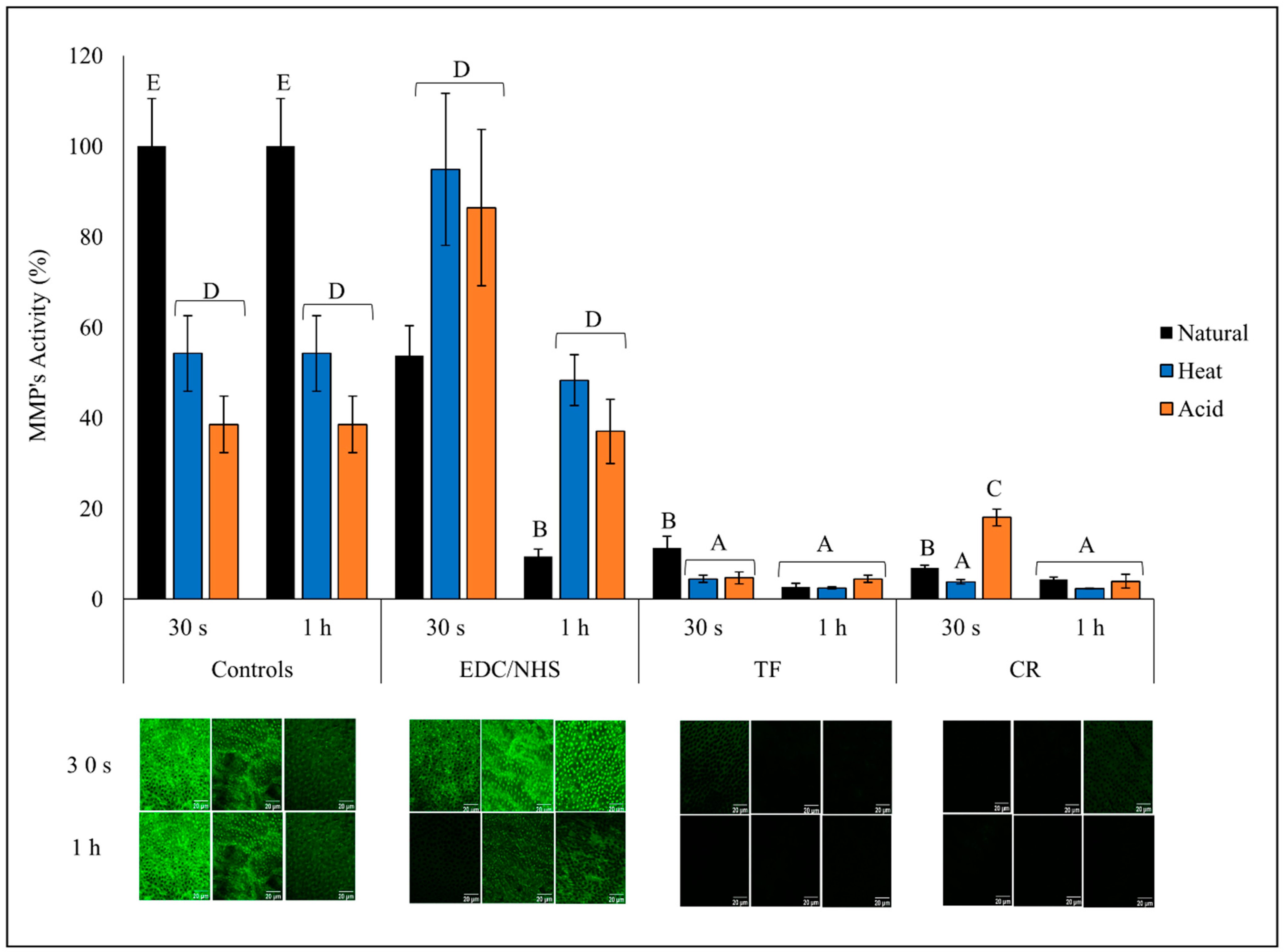 Polymers 15 03683 g005