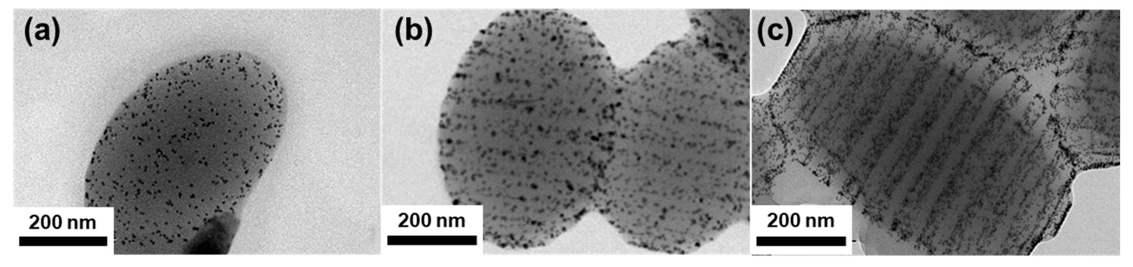 Polymers 15 03689 g004