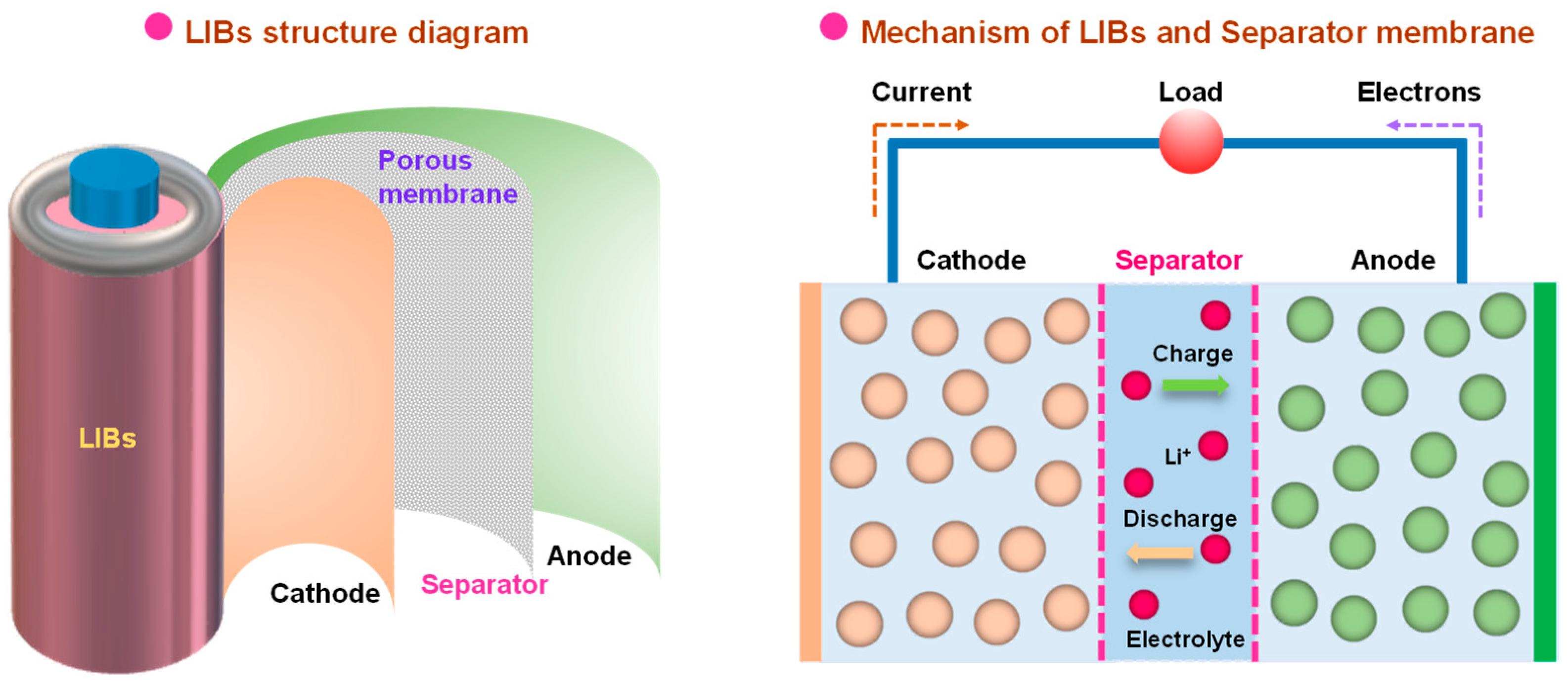 Polymers 15 03690 g001