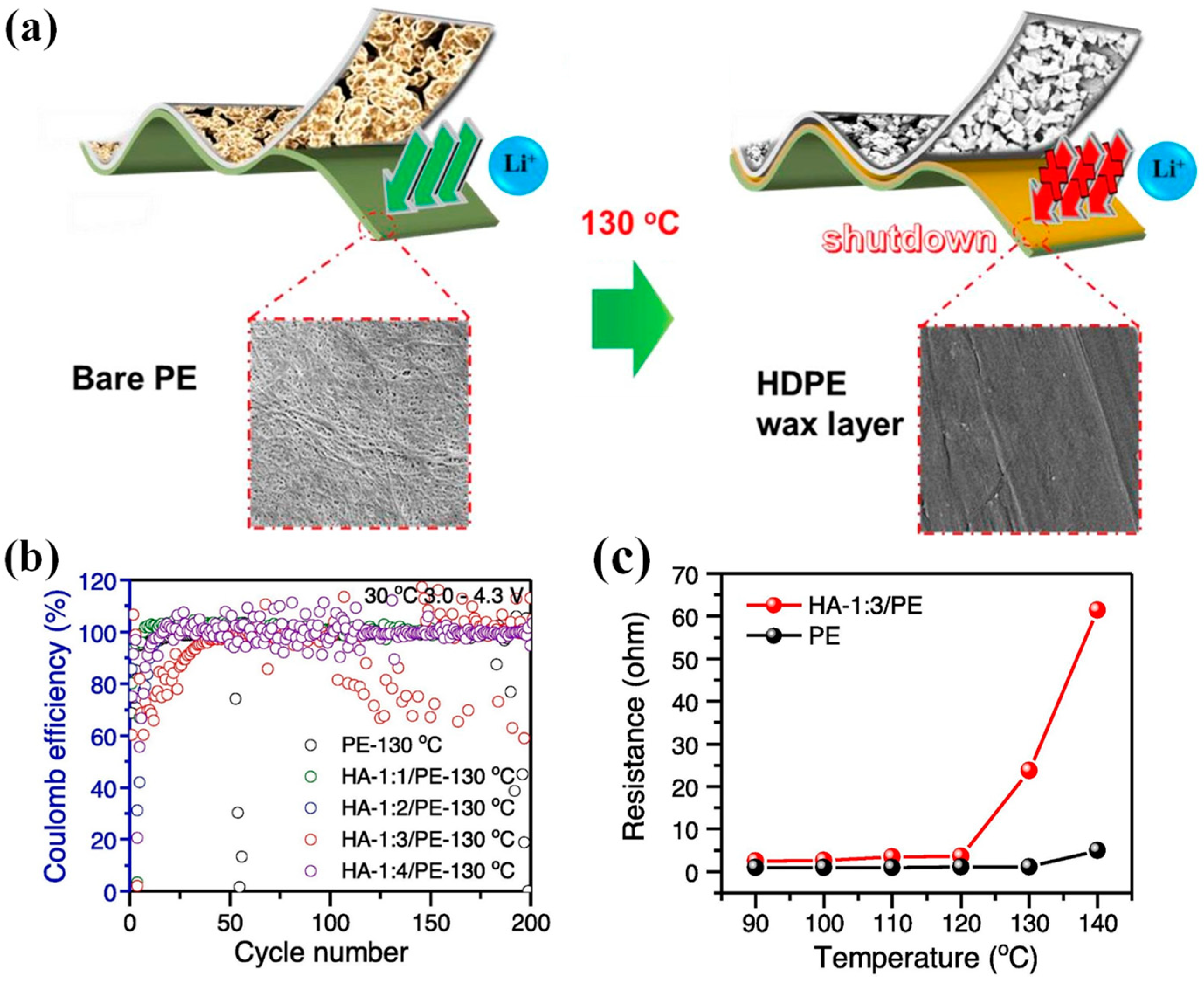 Polymers 15 03690 g007