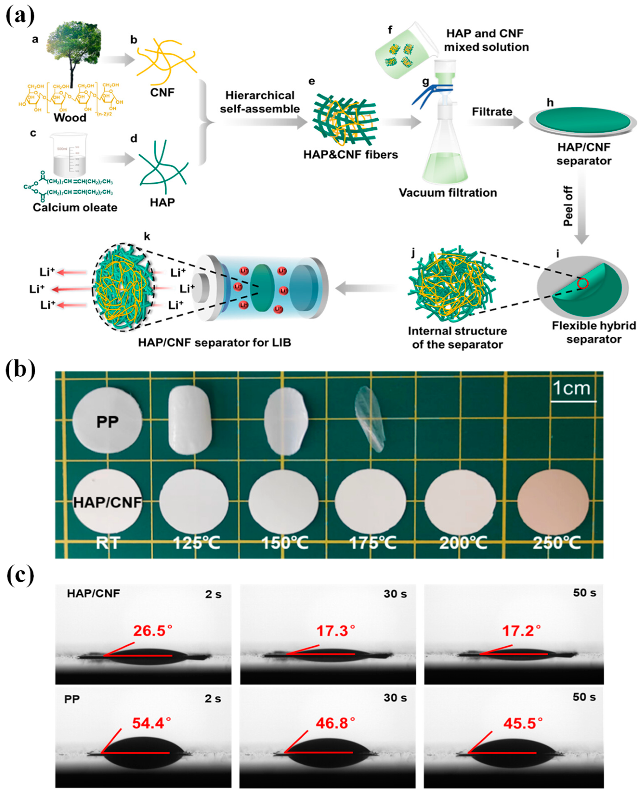 Polymers 15 03690 g010