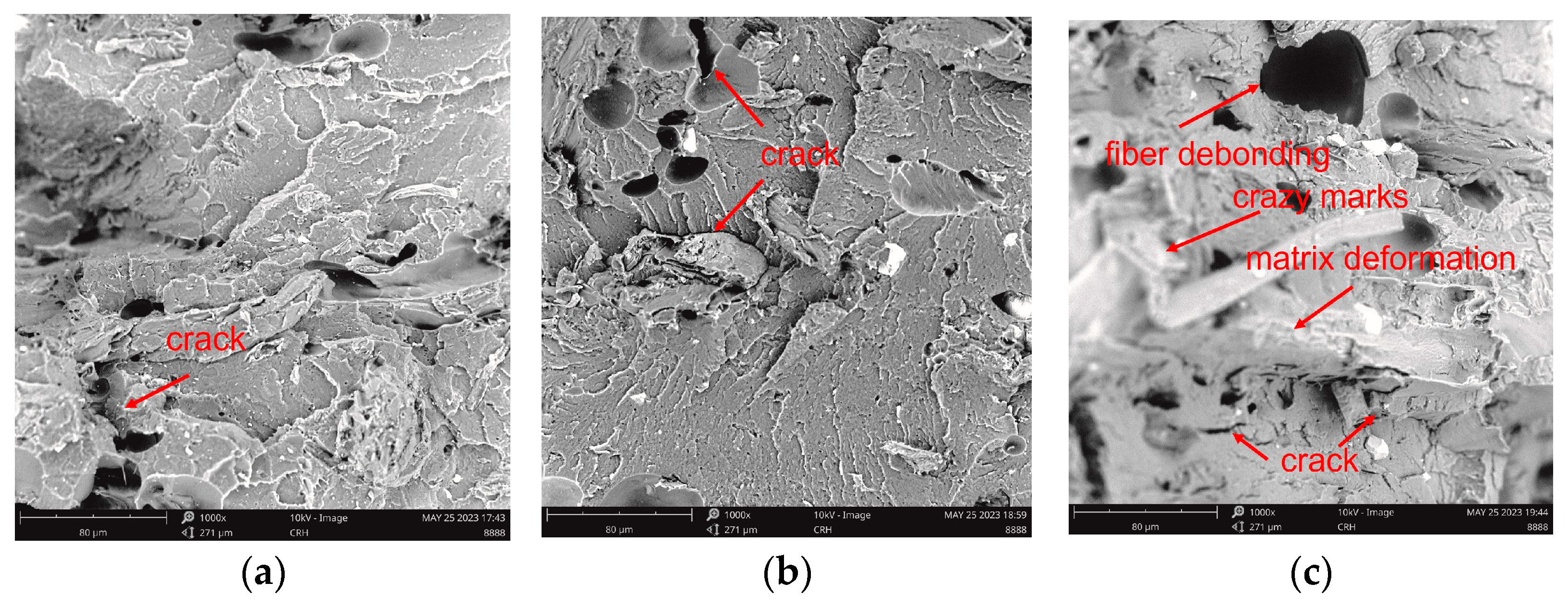 Polymers 15 03697 g006a