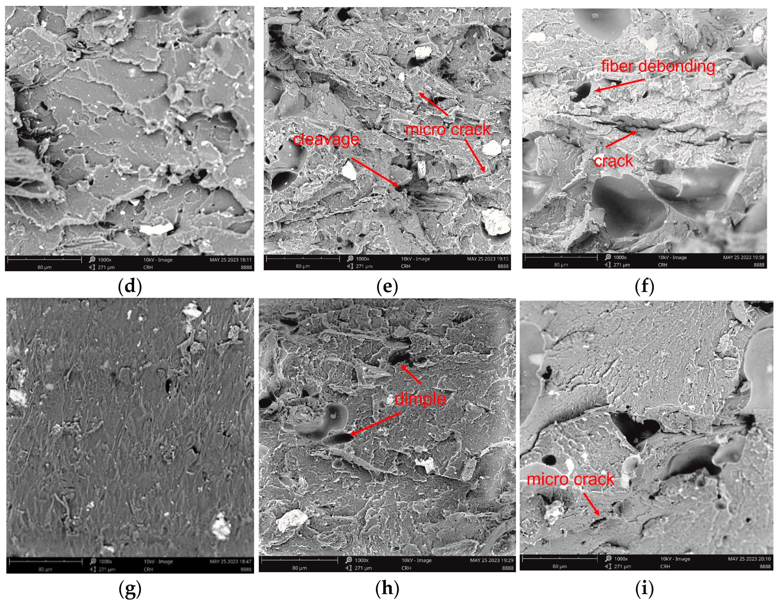Polymers 15 03697 g006b