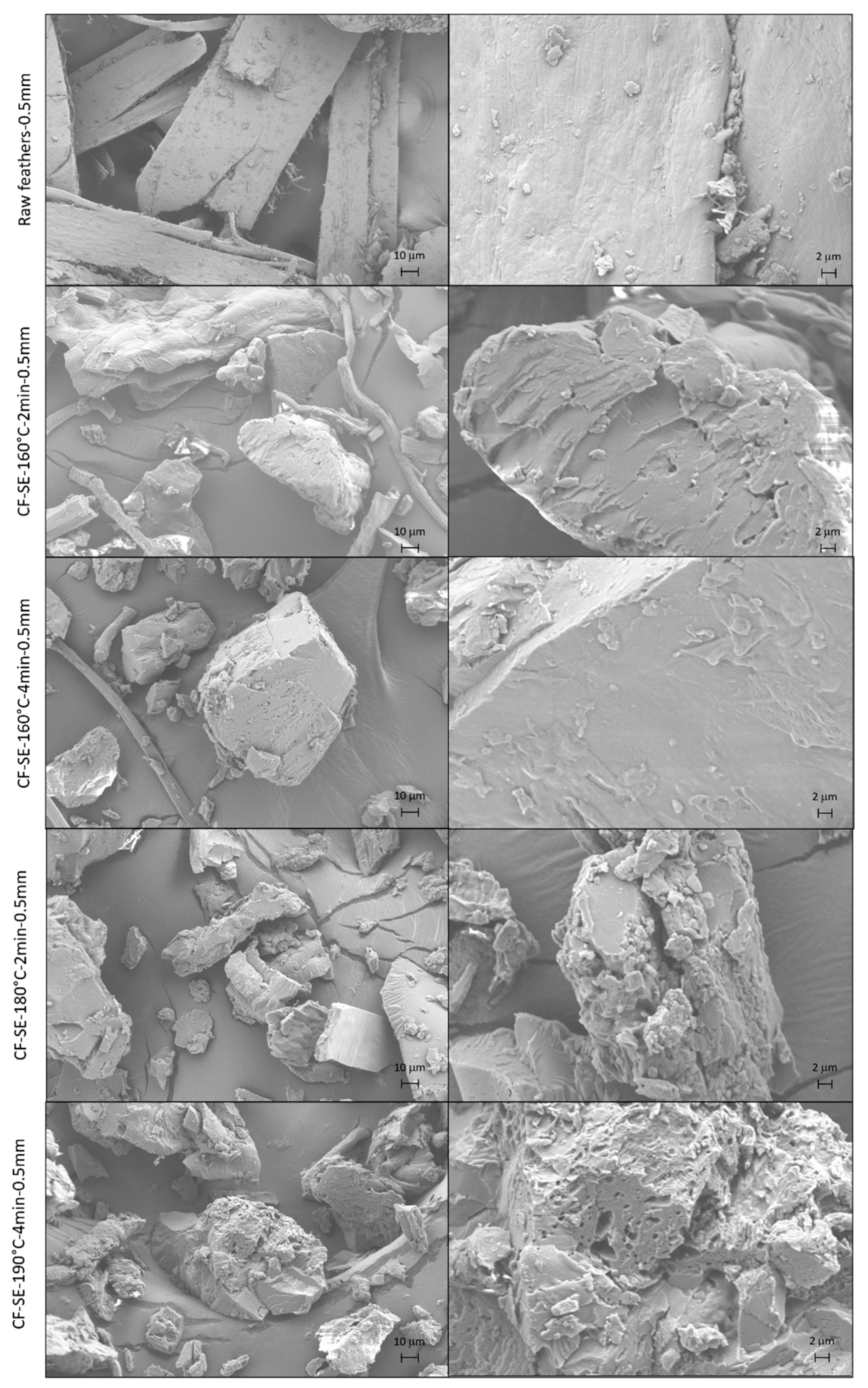 Polymers 15 03701 g004