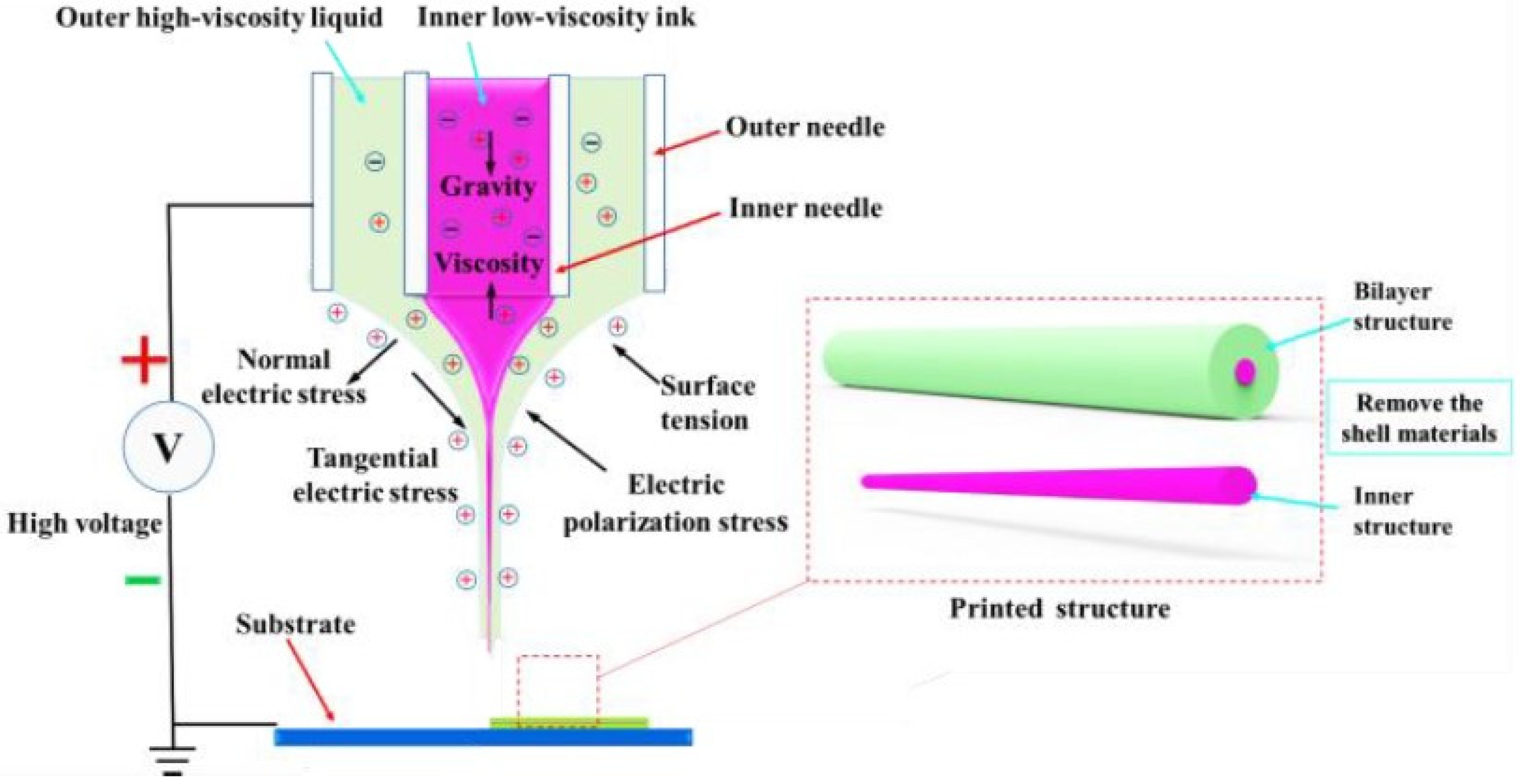 Polymers 15 03702 g002