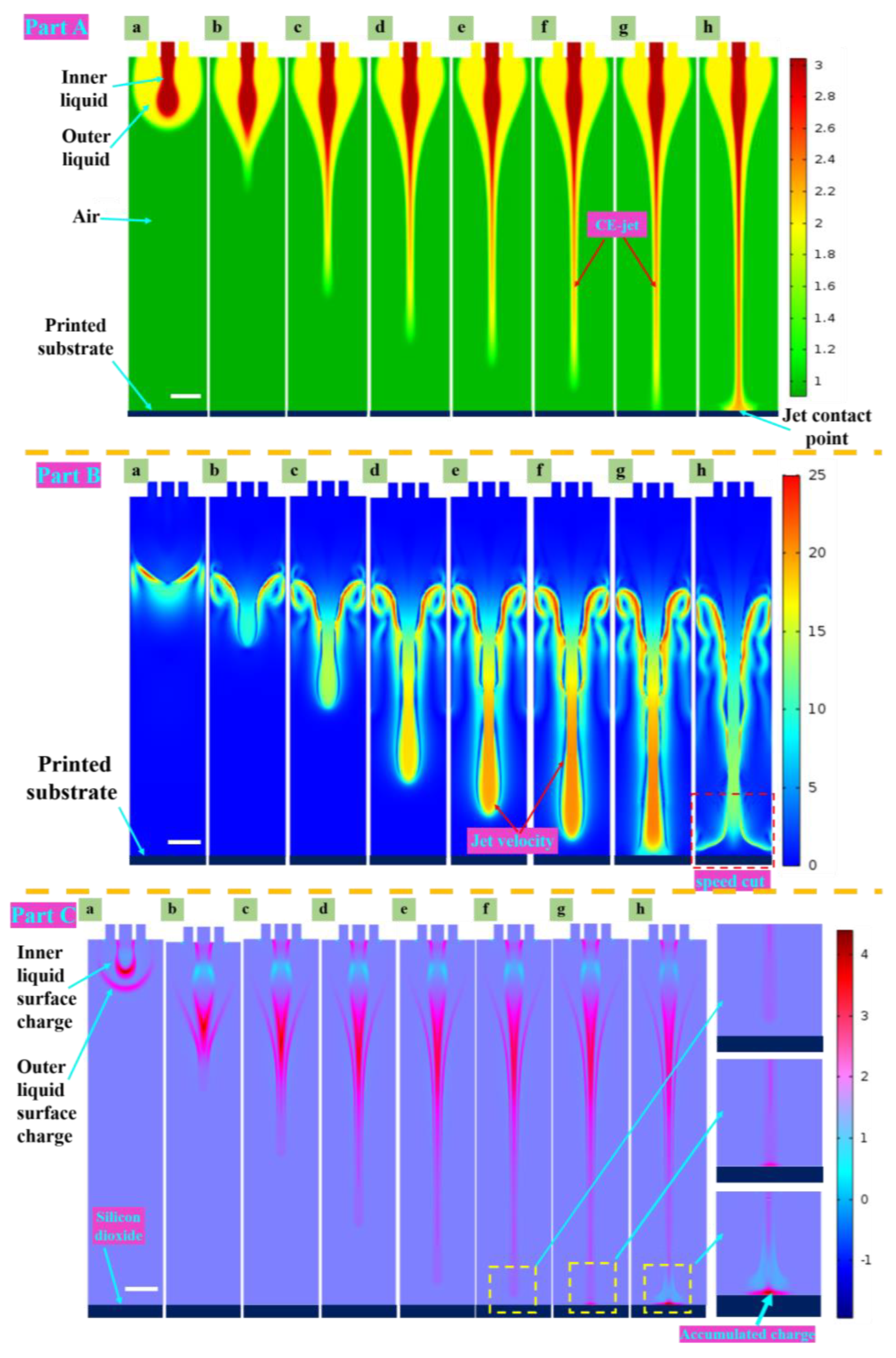 Polymers 15 03702 g005