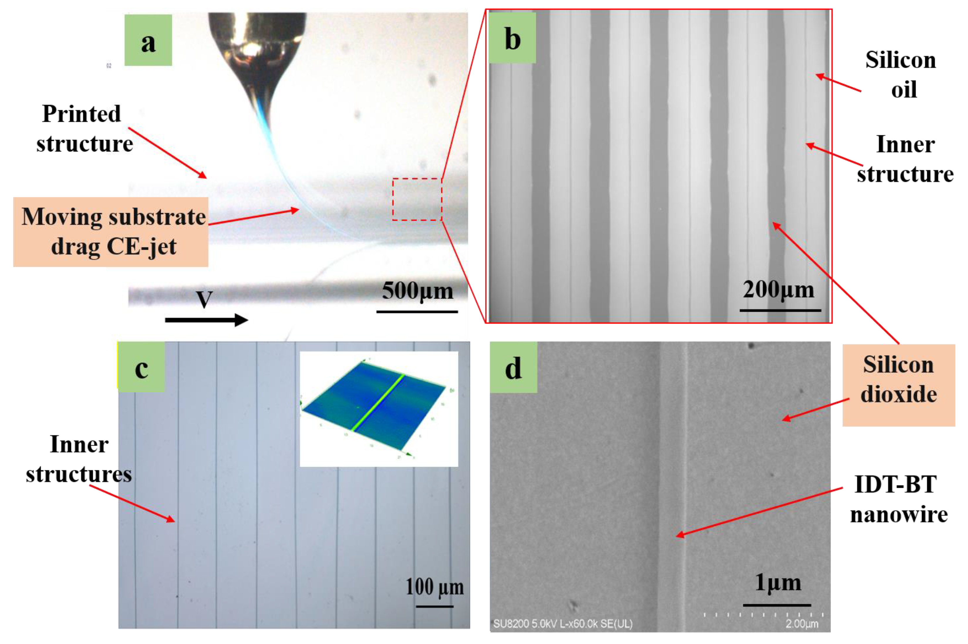 Polymers 15 03702 g010