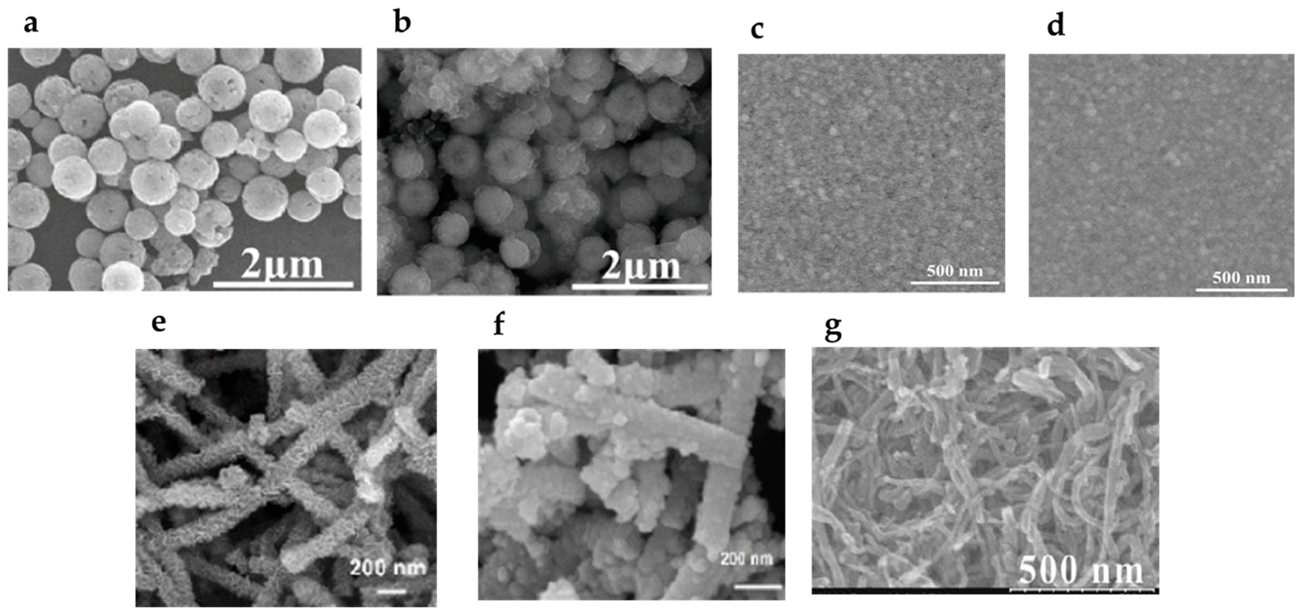 Polymers 15 03712 g003