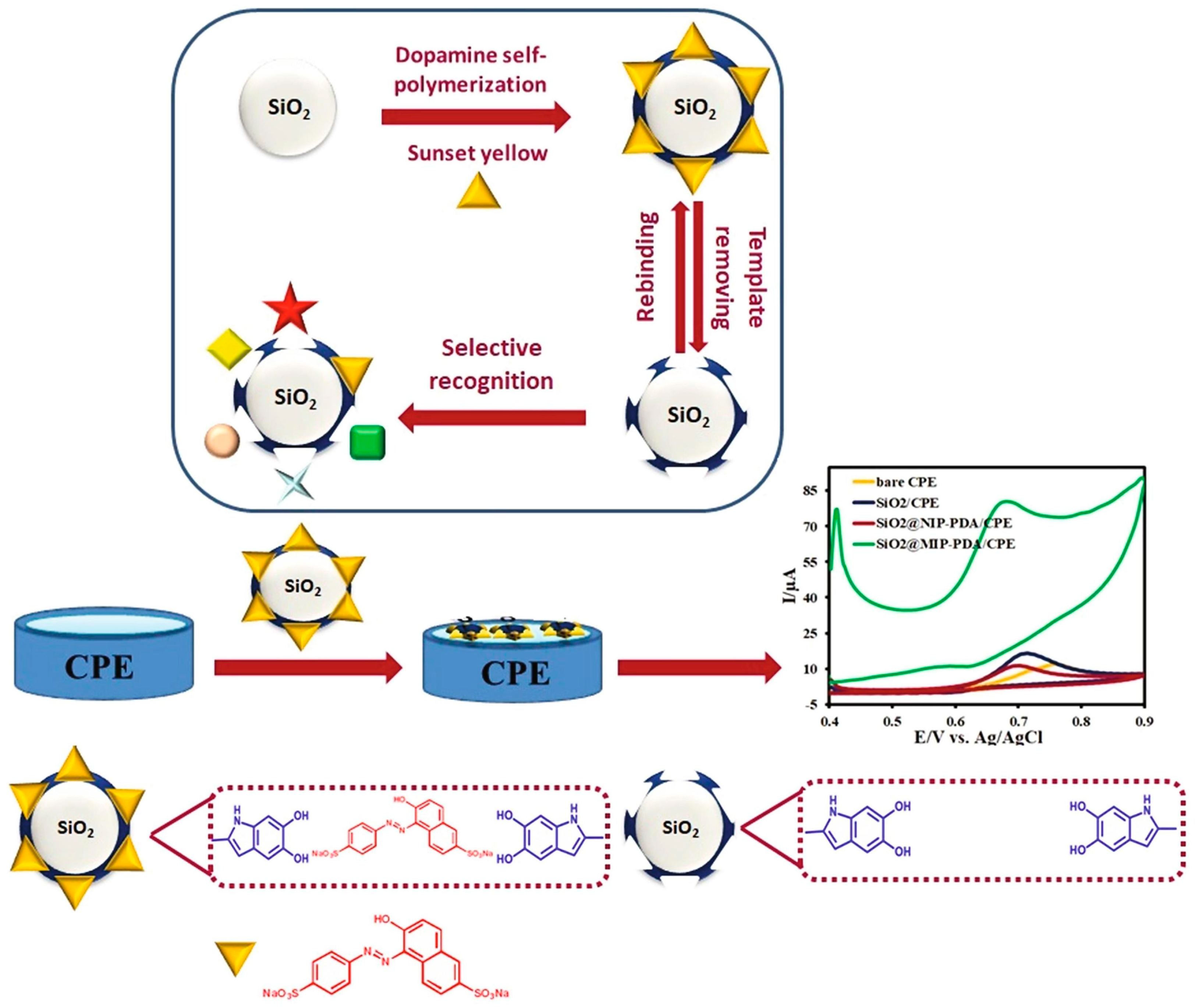 Polymers 15 03712 g004