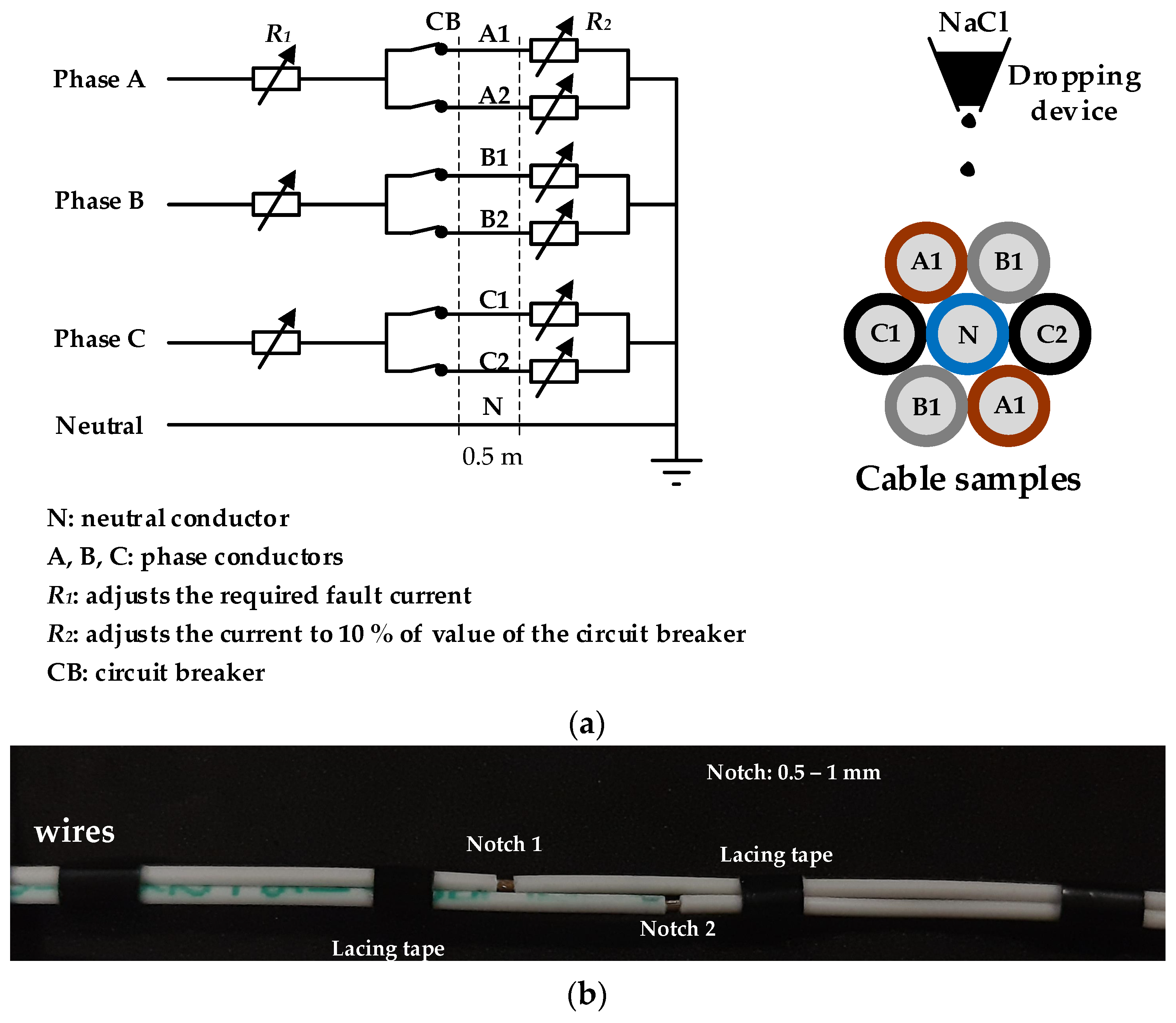 Polymers 15 03717 g003