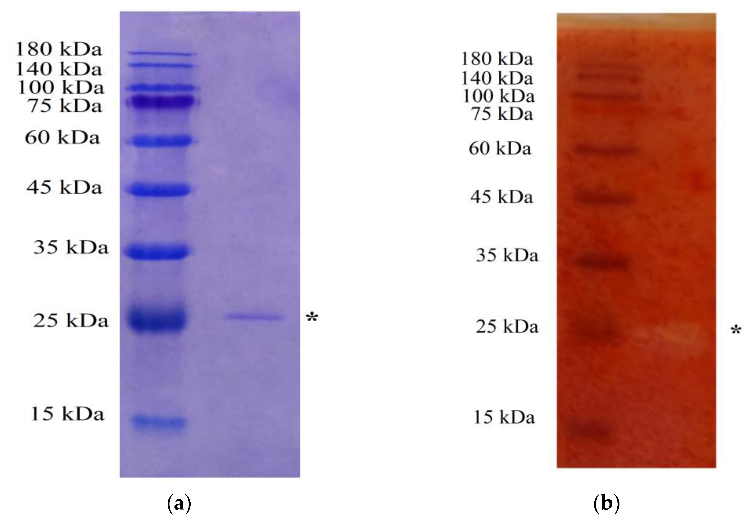 Polymers 15 03724 g004