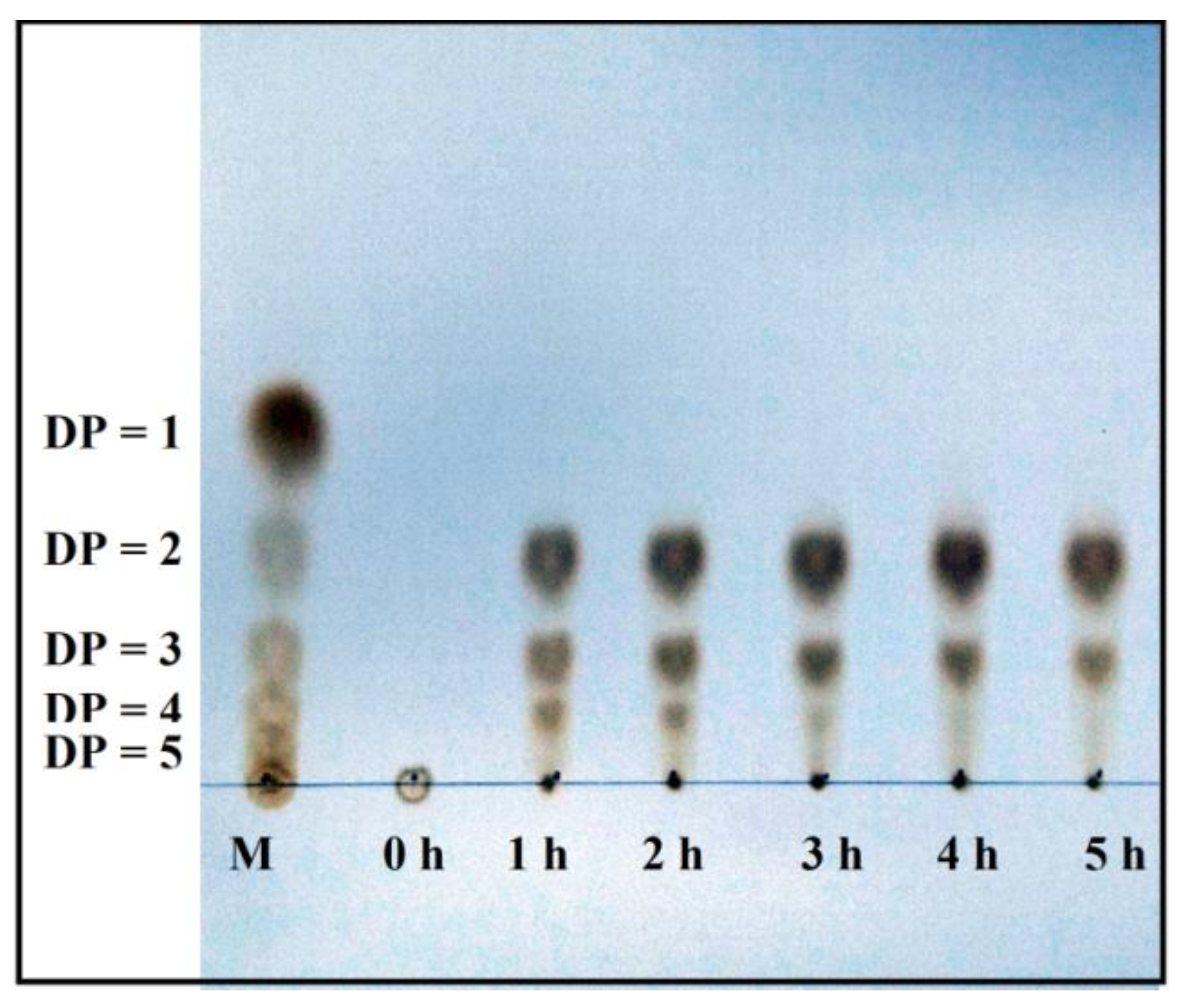 Polymers 15 03724 g006
