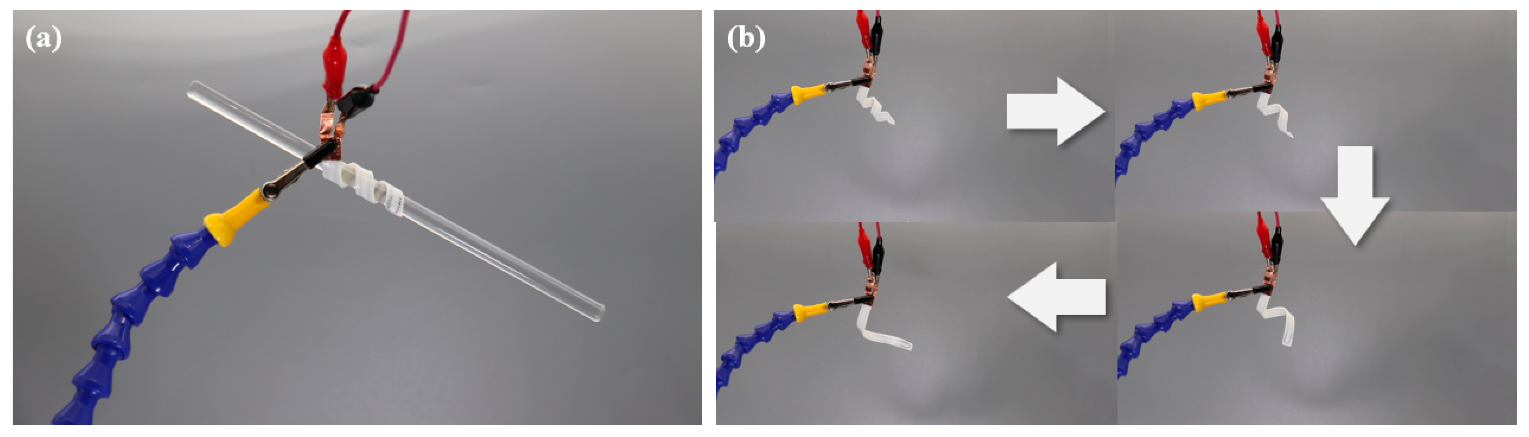 Polymers 15 03740 g008