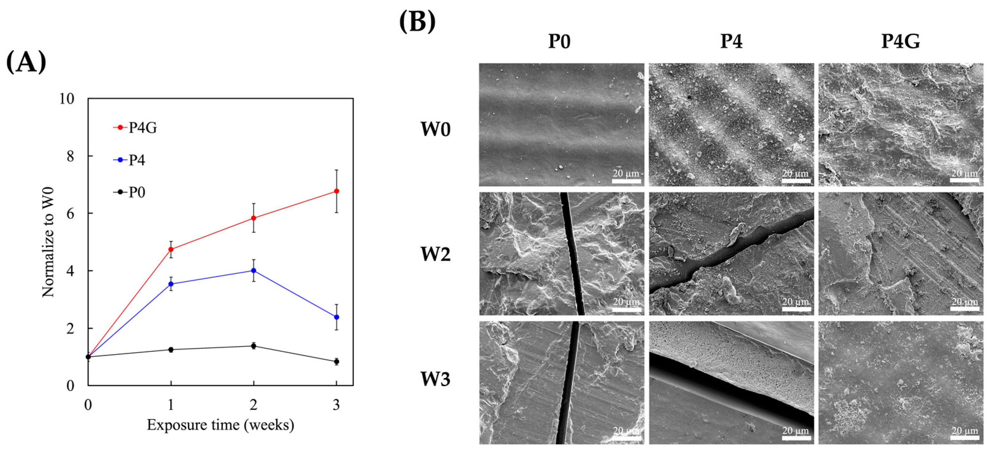 Polymers 15 03744 g007