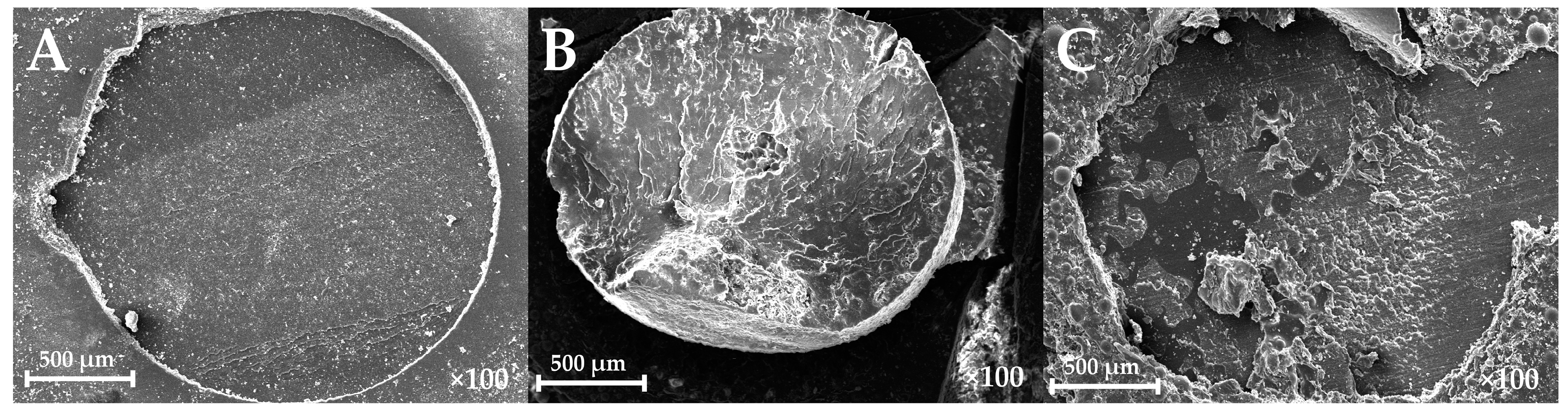 Polymers 15 03745 g002