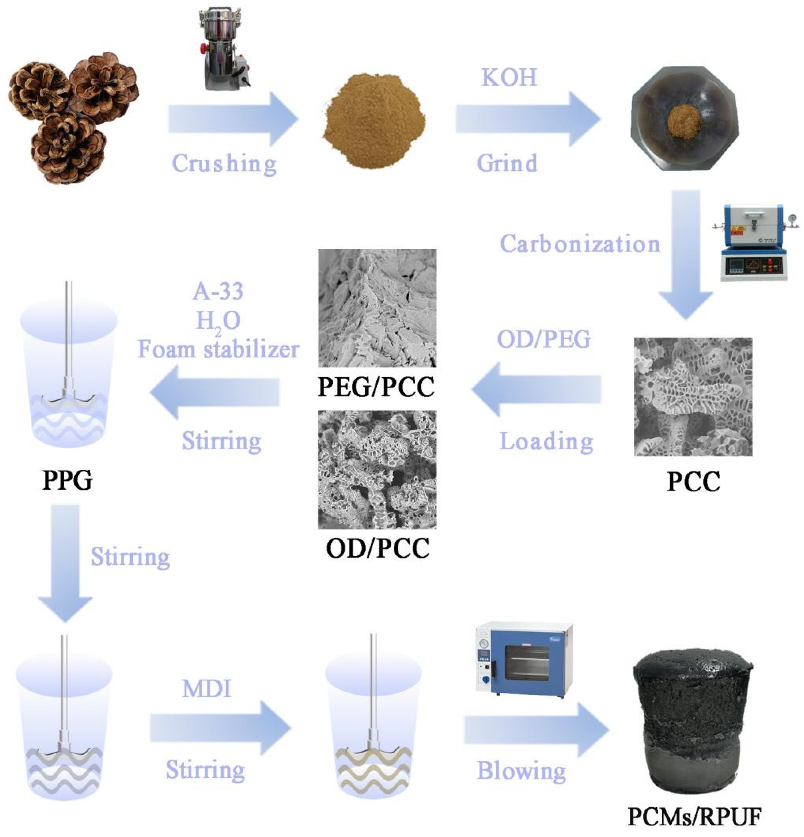 Polymers 15 03747 g001