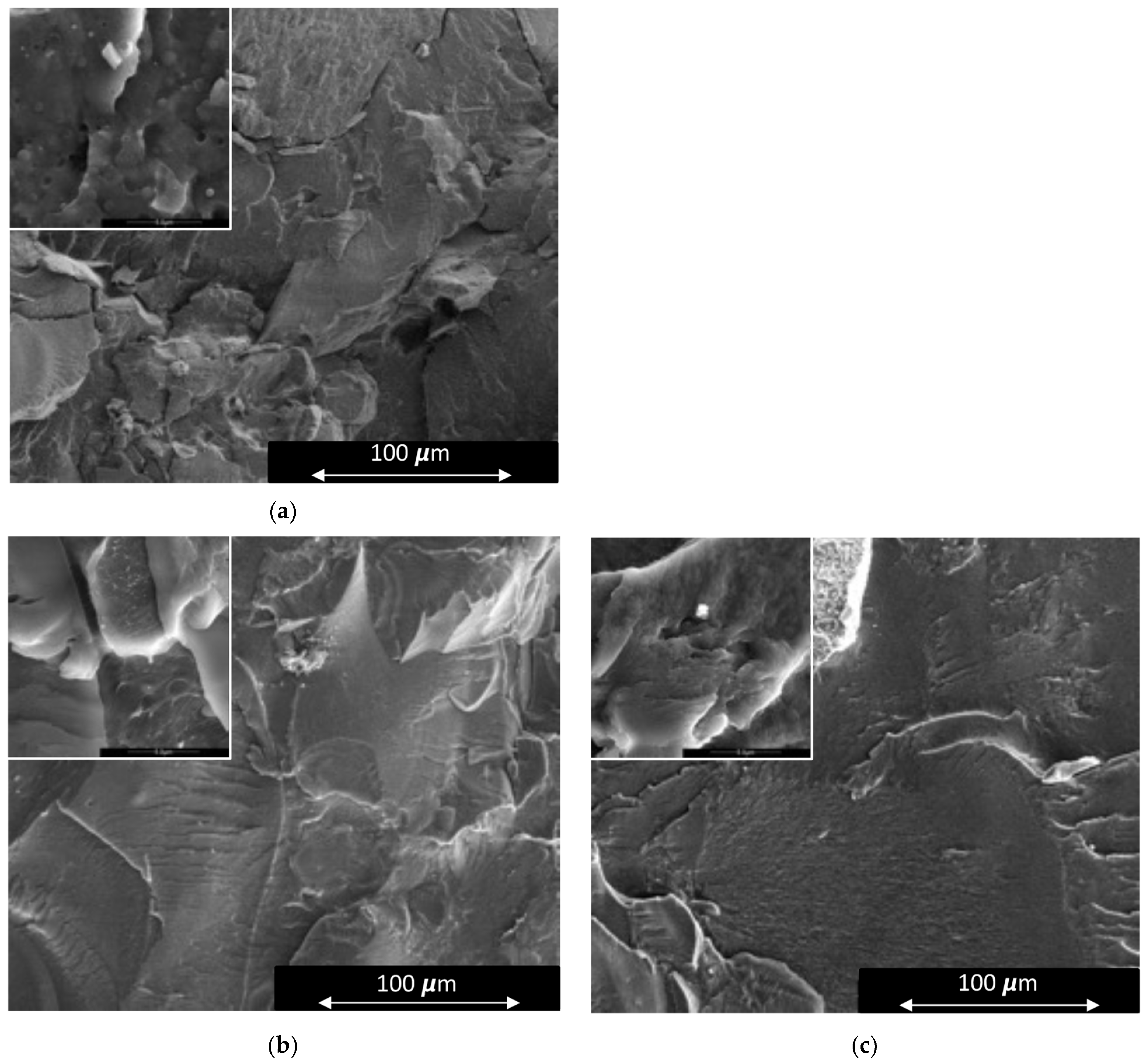 Polymers 15 03750 g004