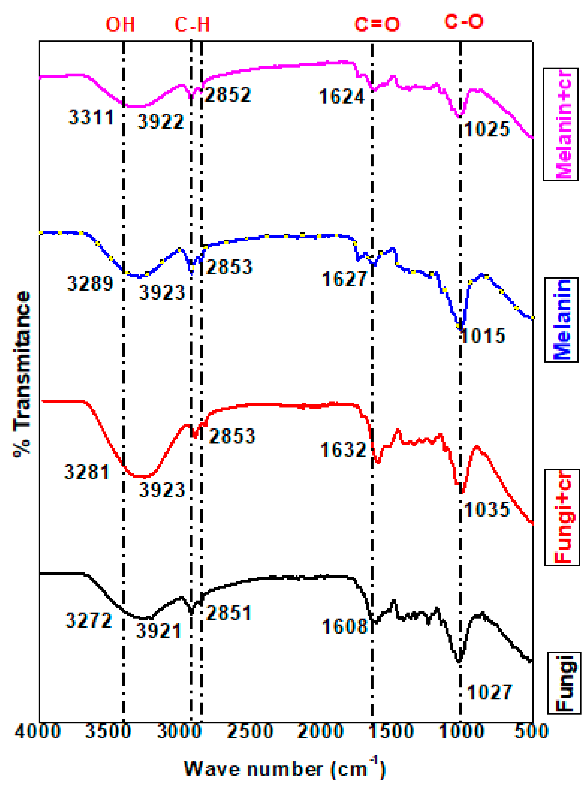 Polymers 15 03754 g009