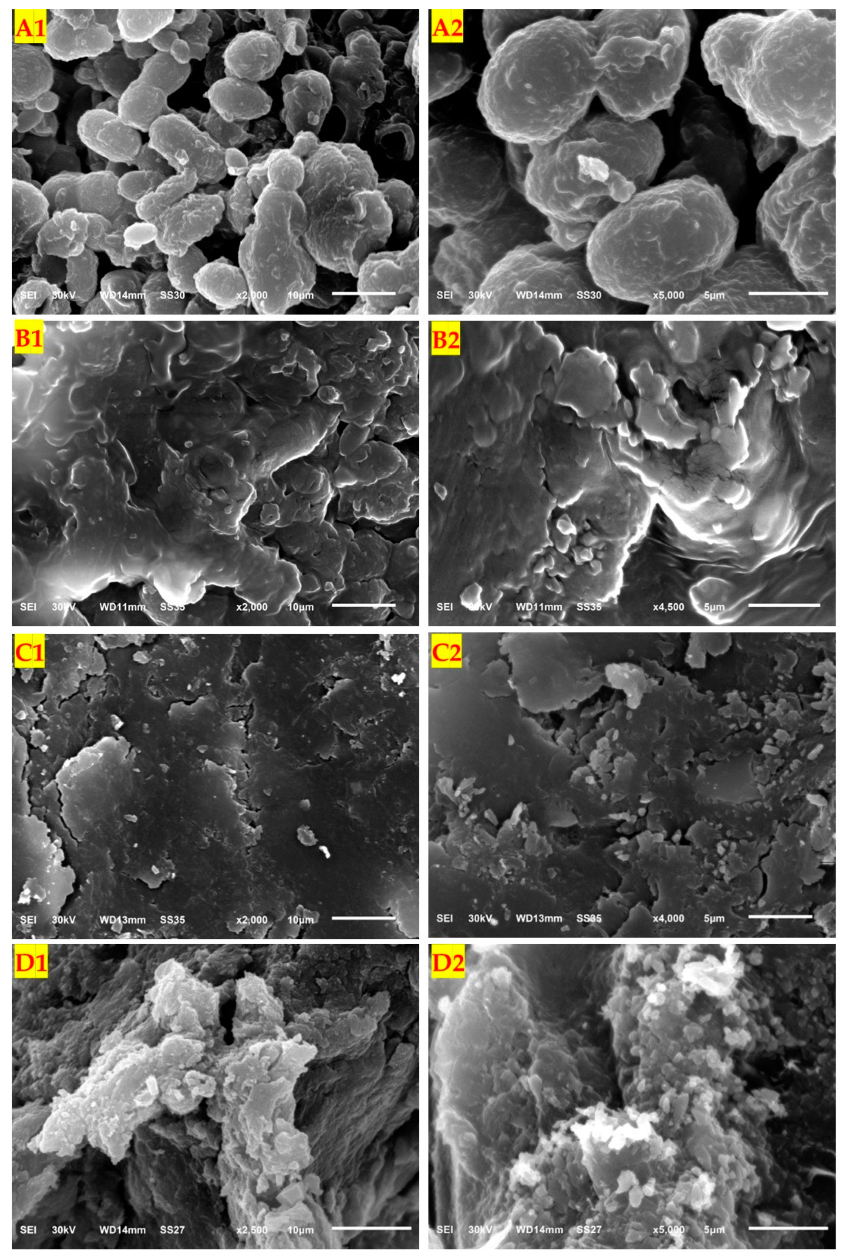 Polymers 15 03754 g010