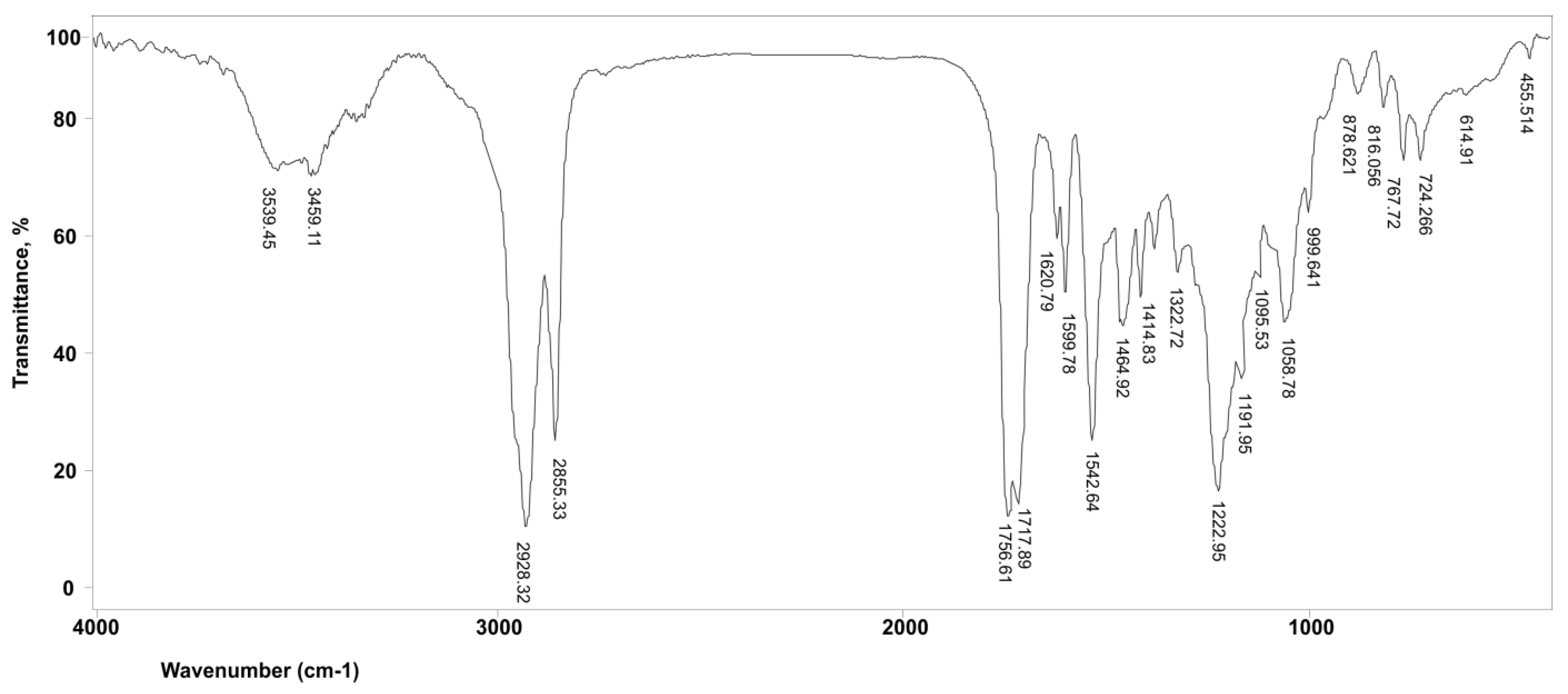 Polymers 15 03755 g002