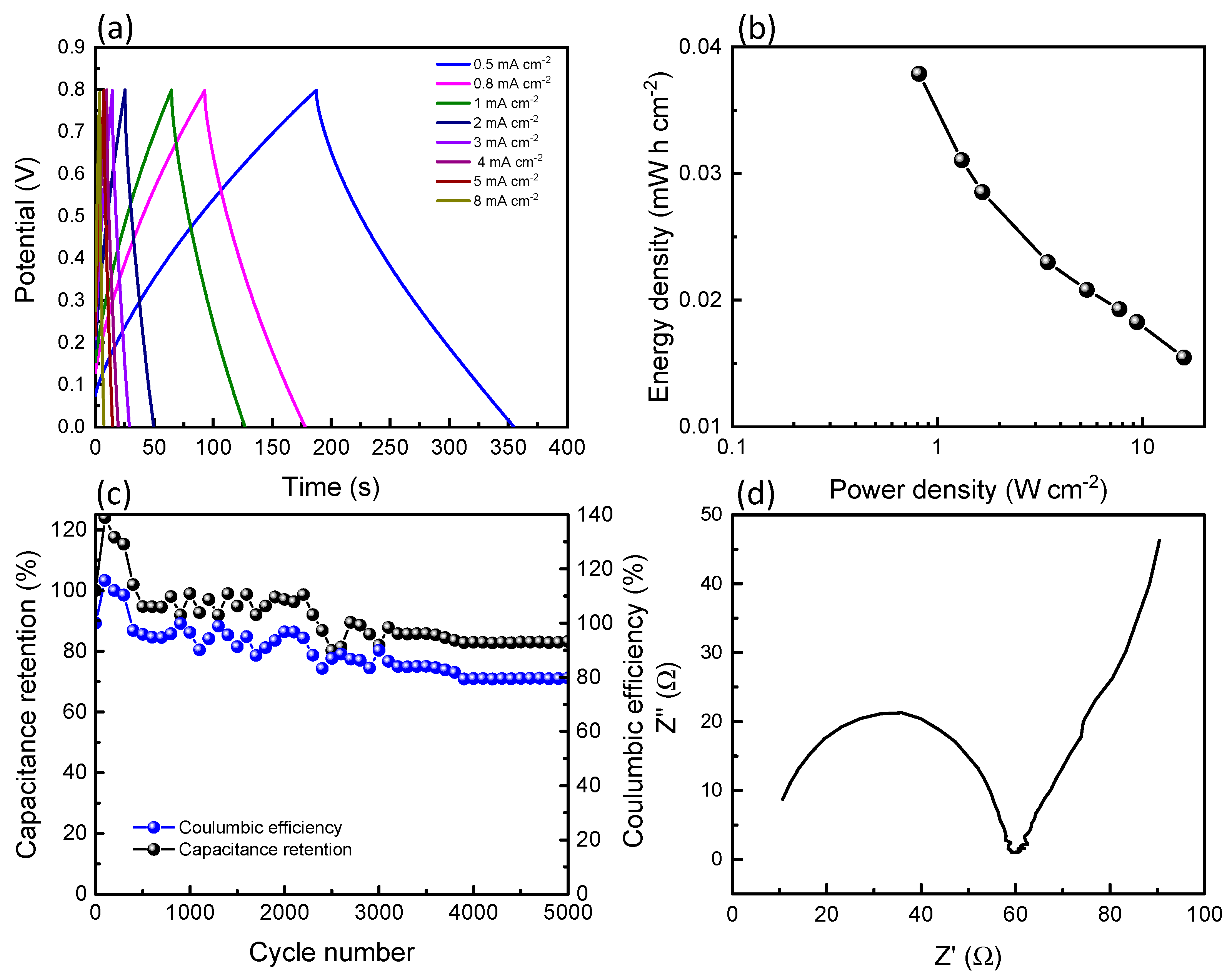 Polymers 15 03758 g005