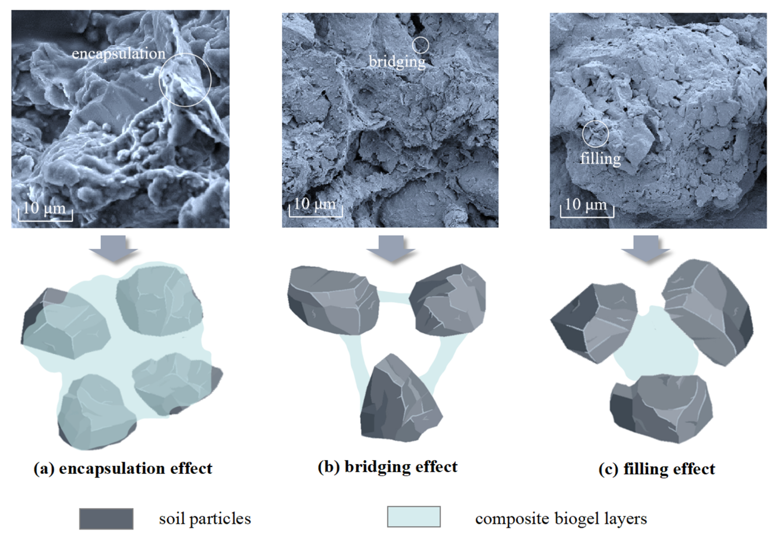 Polymers 15 03763 g011