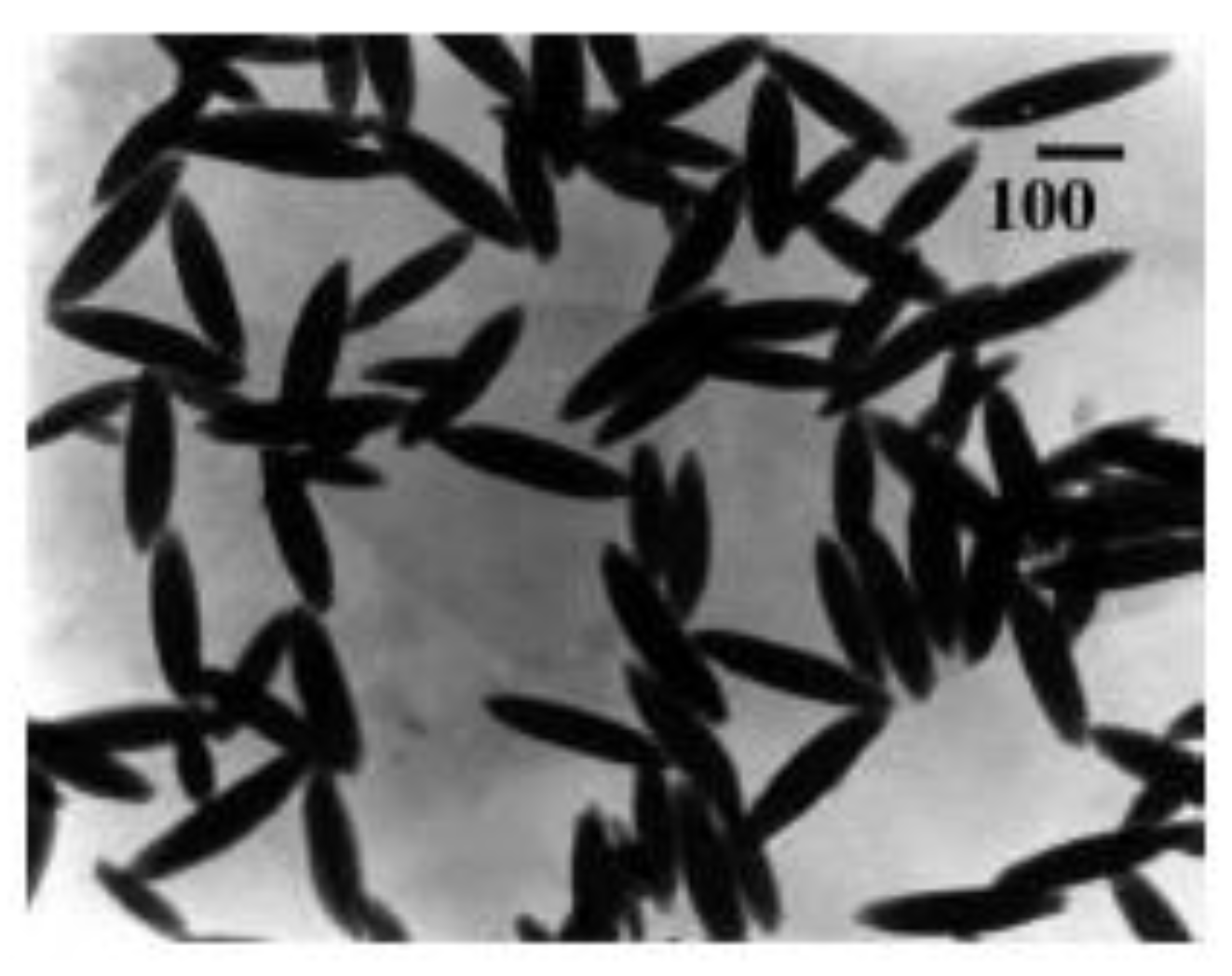 Polymers 15 03766 g004