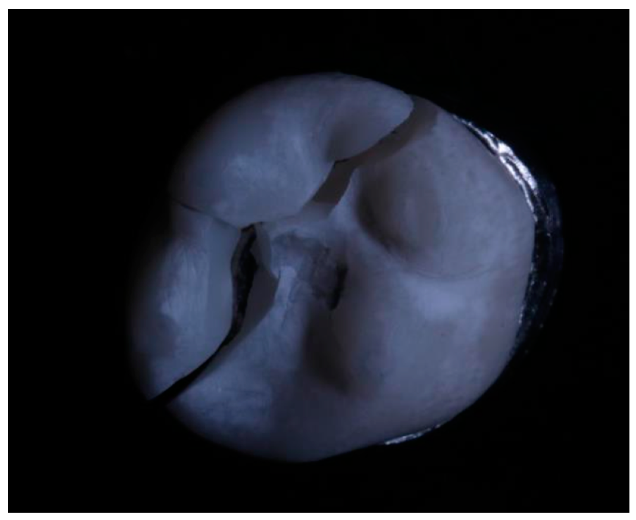 Polymers 15 03773 g004