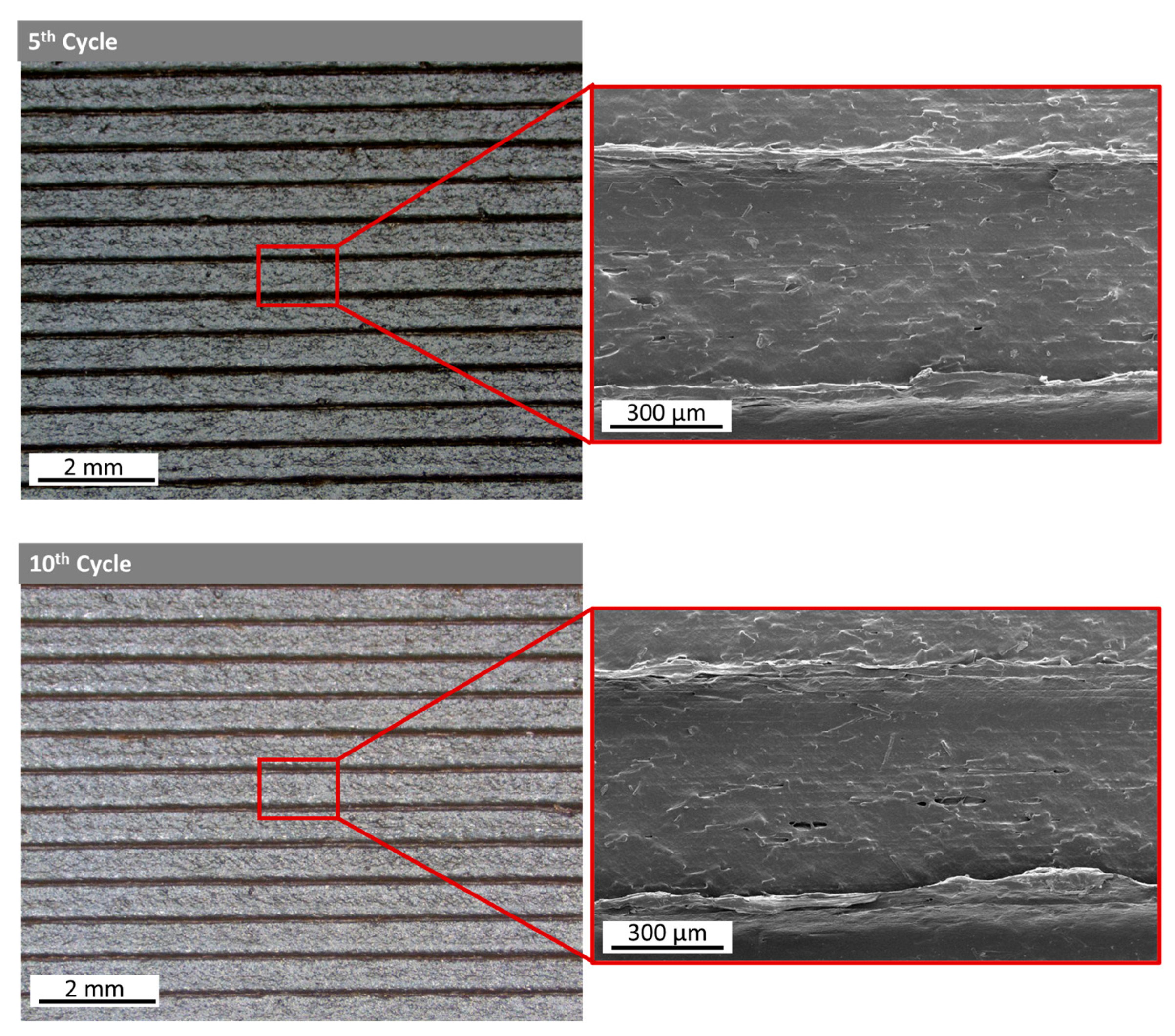 Polymers 15 03775 g009b
