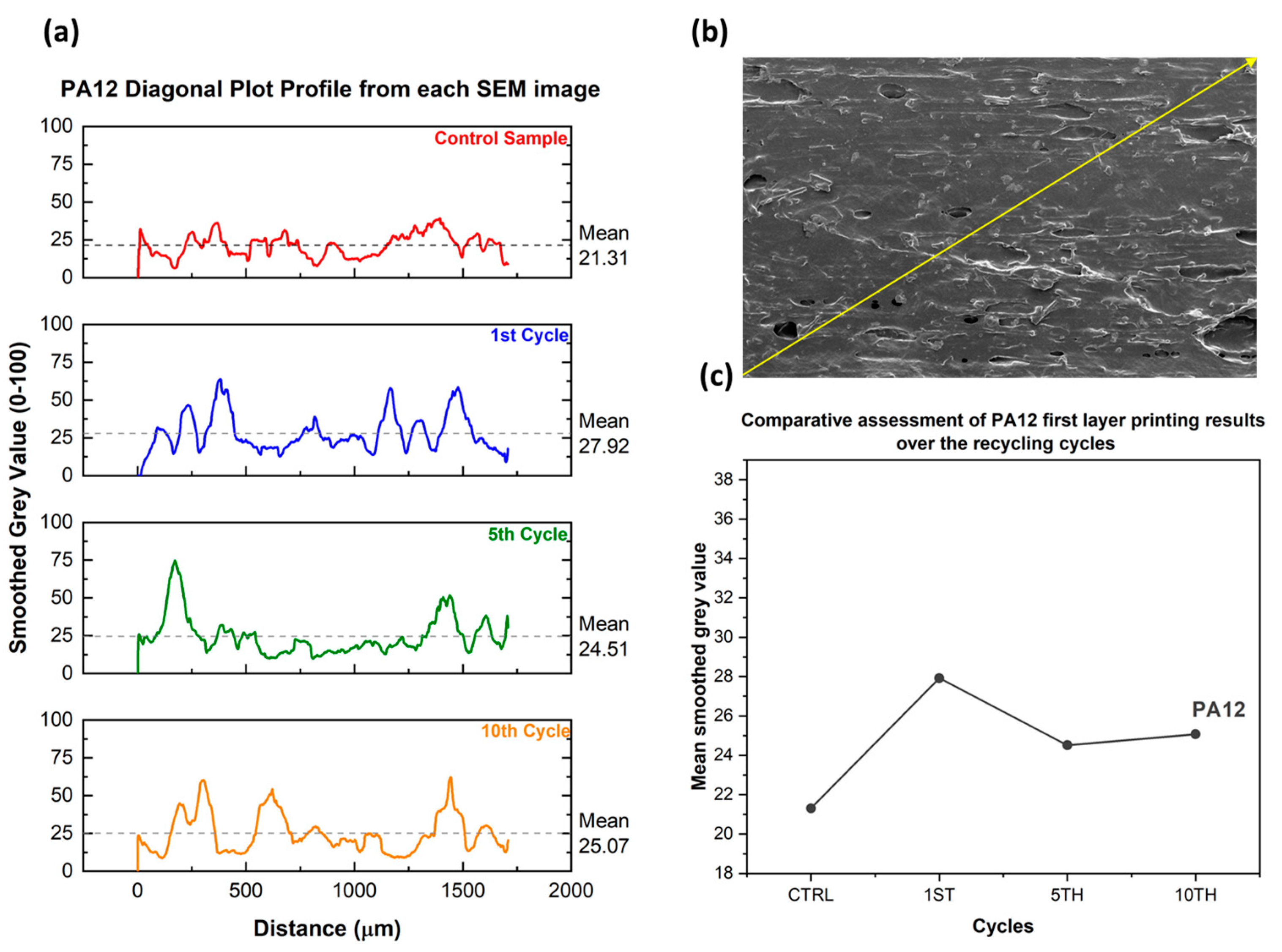 Polymers 15 03775 g010