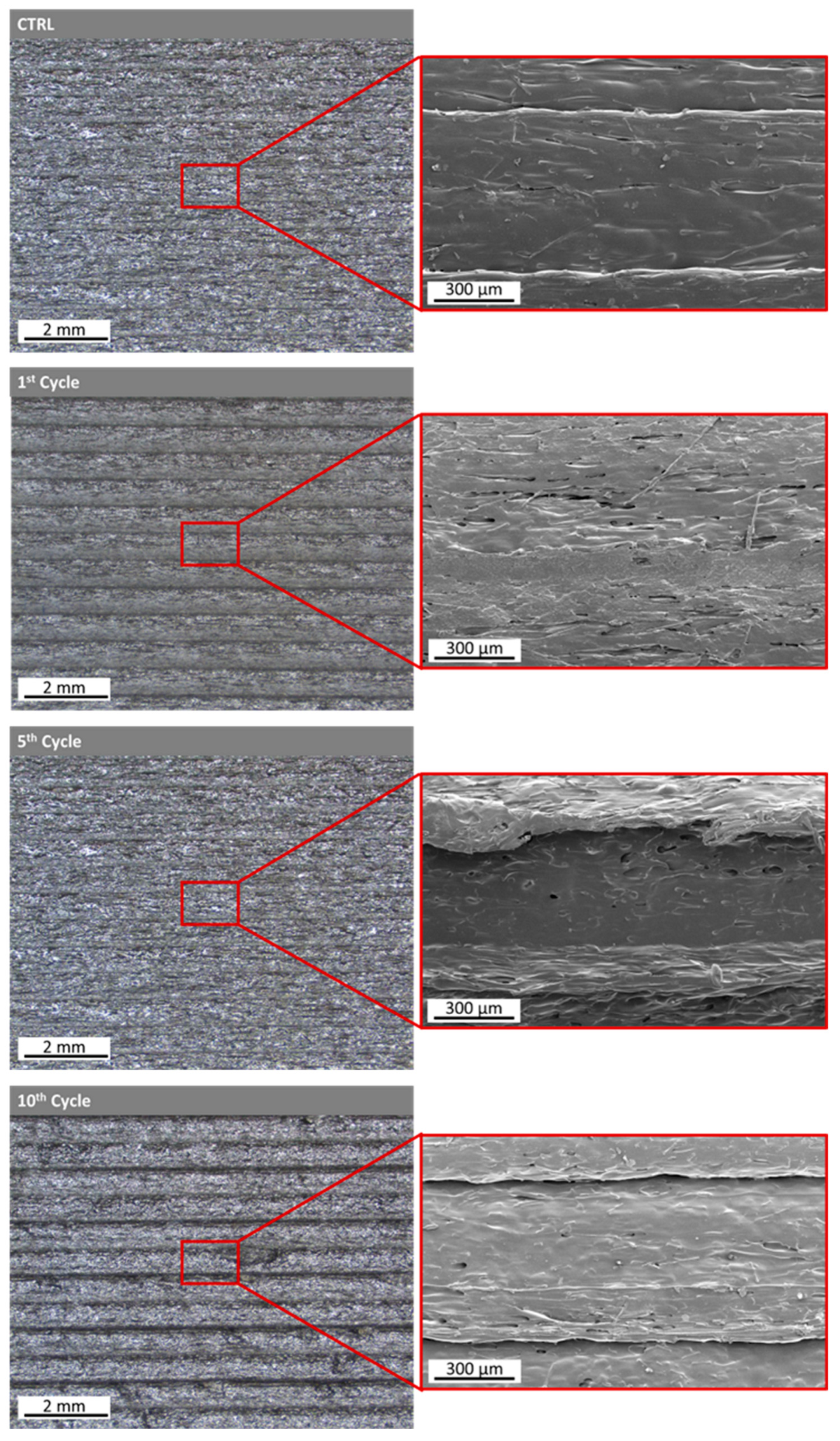 Polymers 15 03775 g013