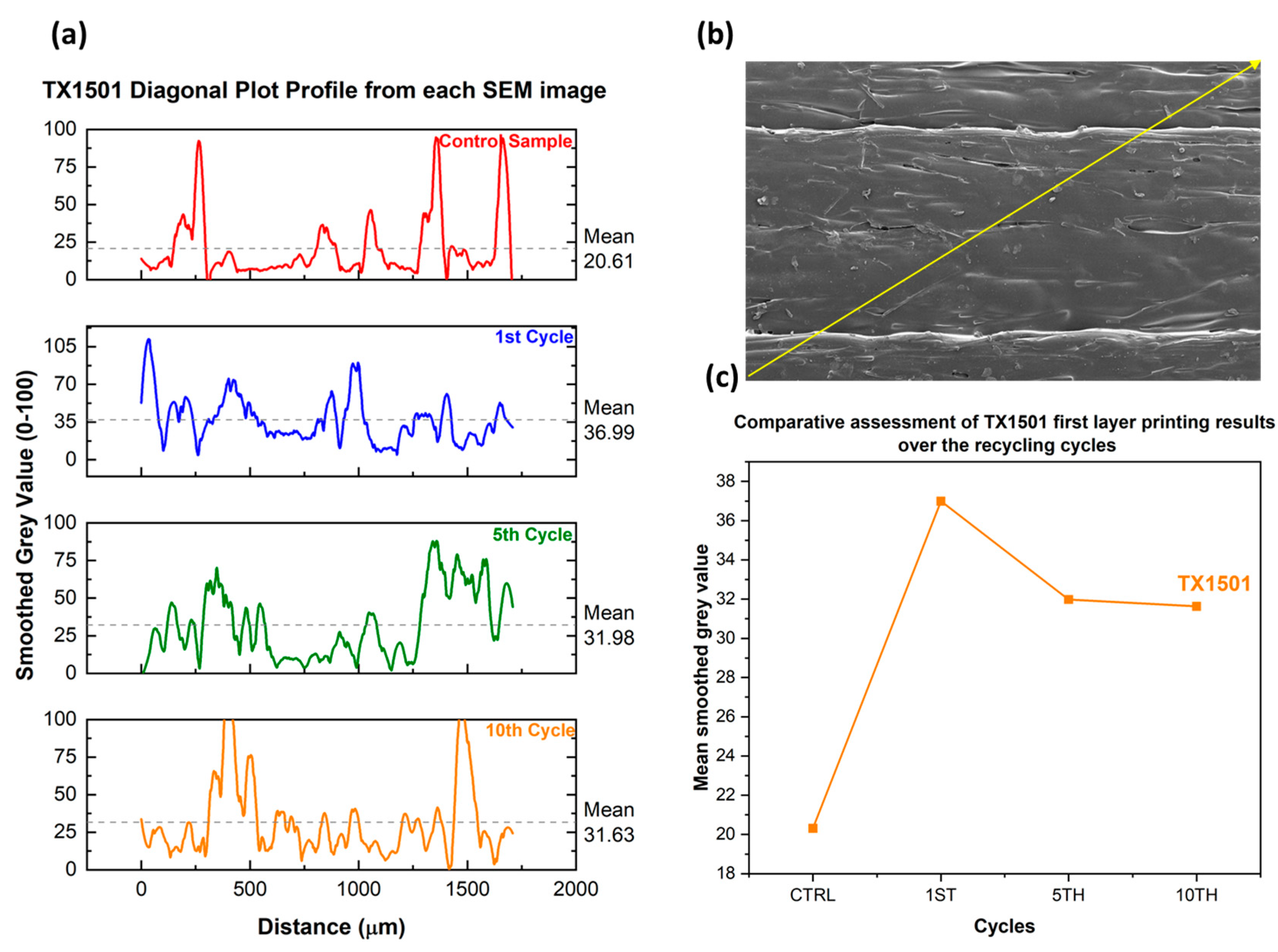 Polymers 15 03775 g014