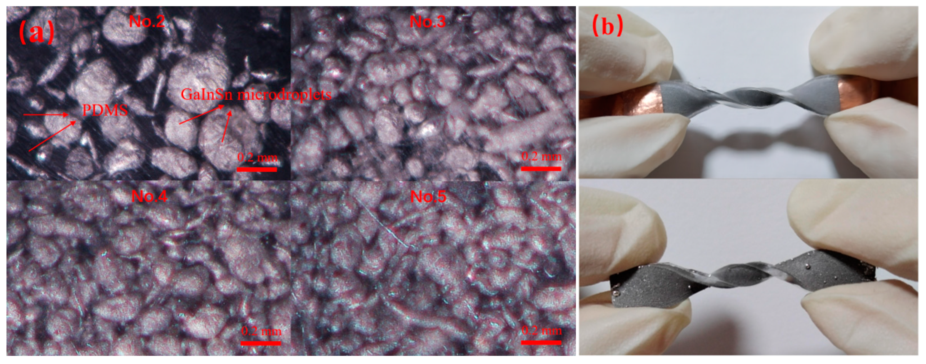 Polymers 15 03776 g002