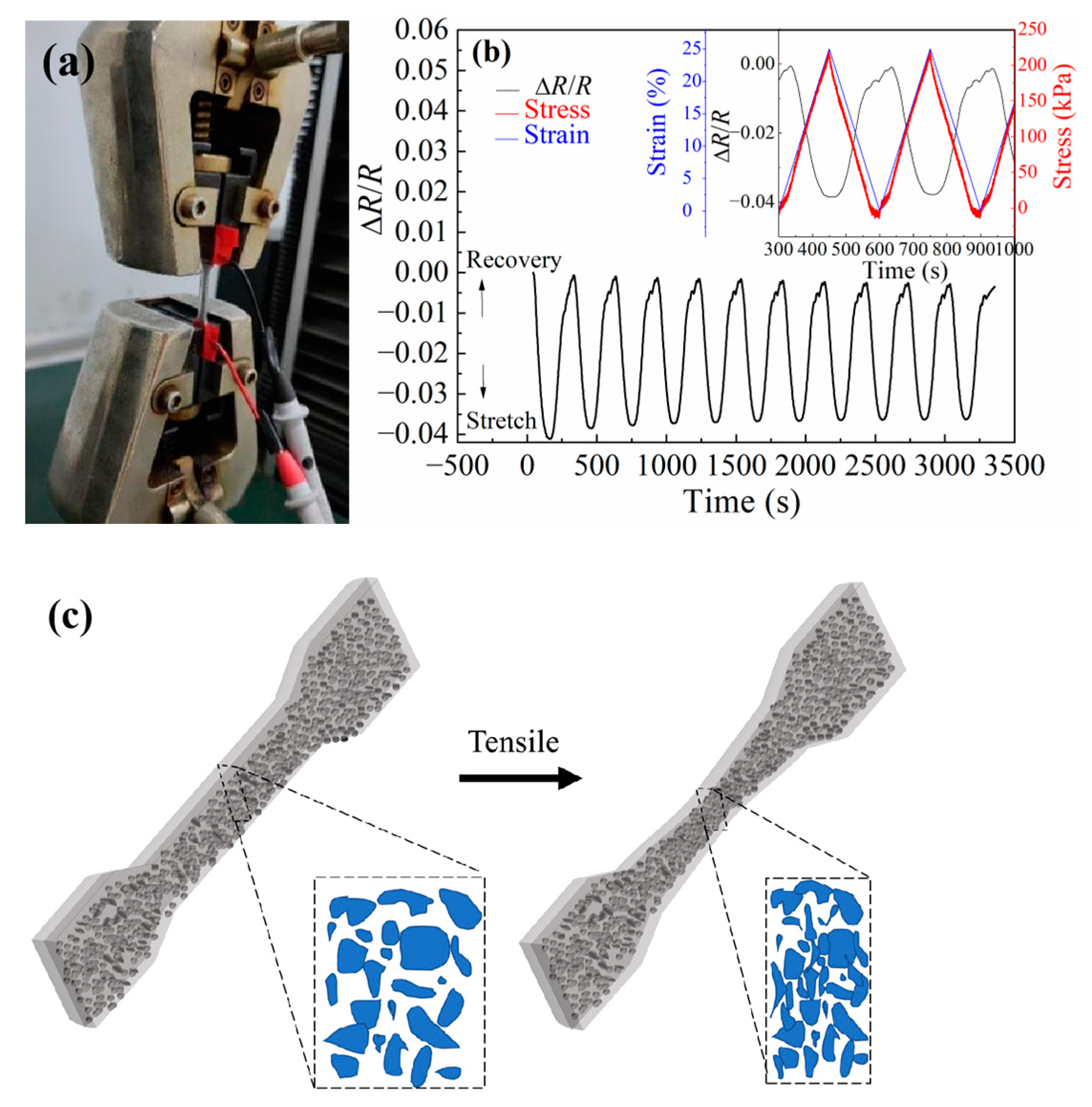 Polymers 15 03776 g005