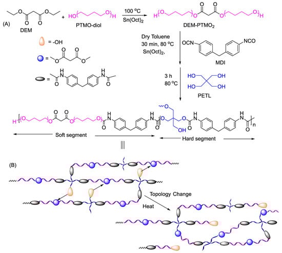 Polymers 15 03780 g008