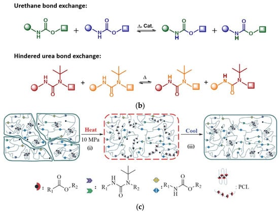 Polymers 15 03780 g010b