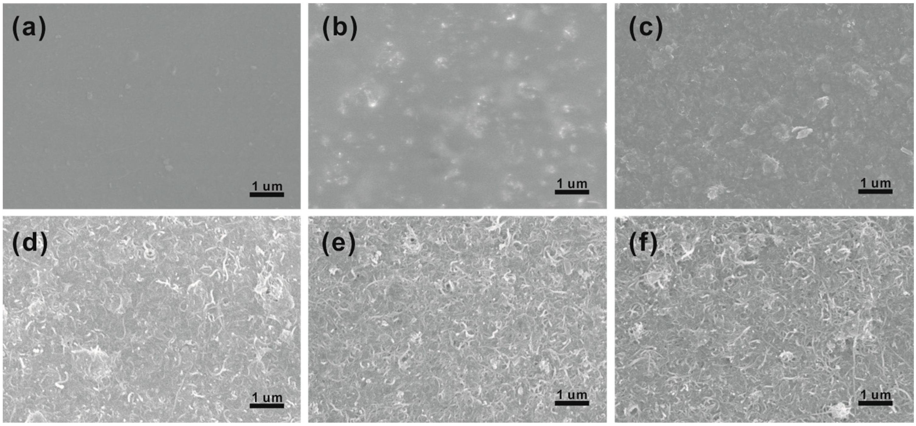 Polymers 15 03781 g002