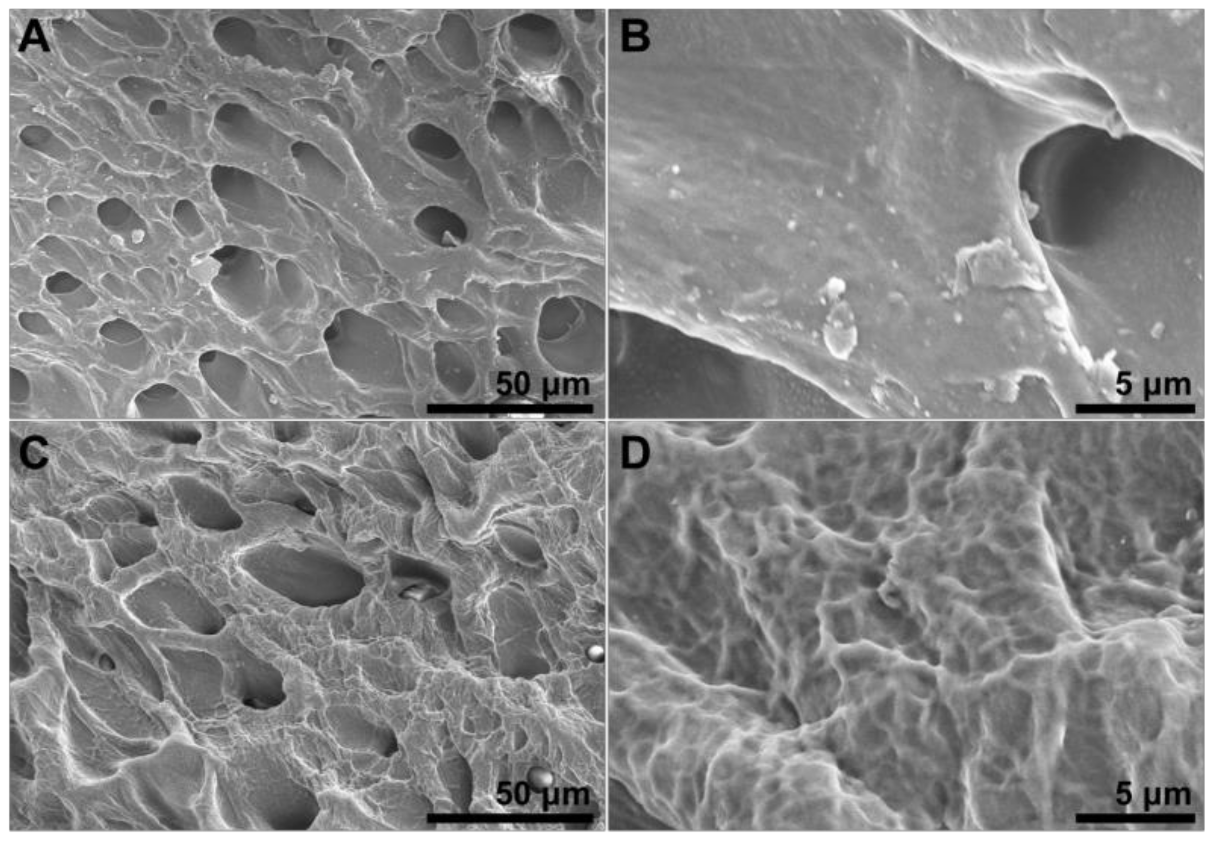 Polymers 15 03782 g005 Polymers 15 03782 g005