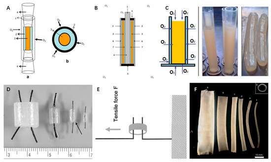 Polymers 15 03812 g006