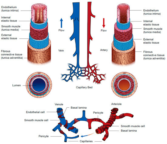 Polymers 15 03812 g007