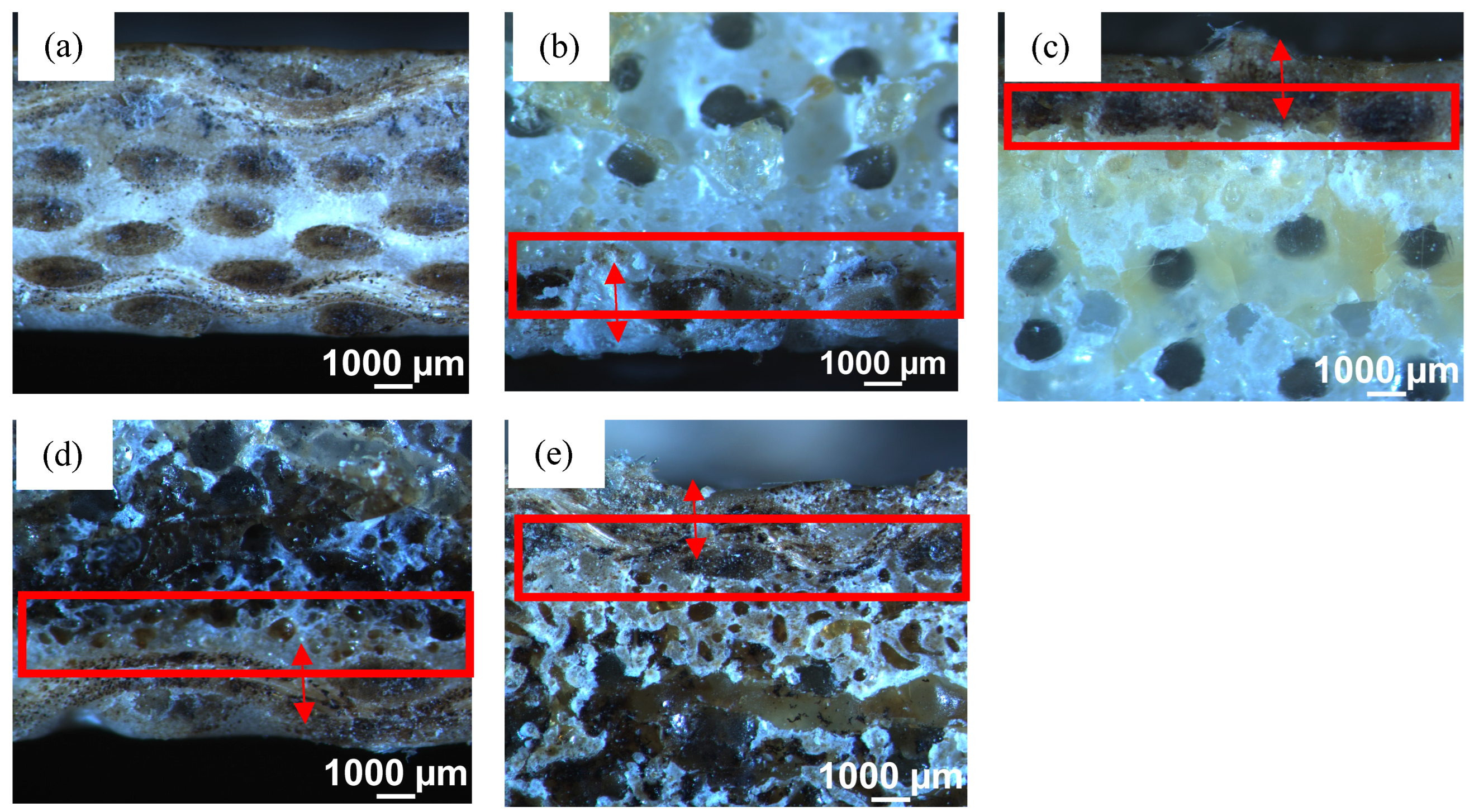 Polymers 15 03815 g007