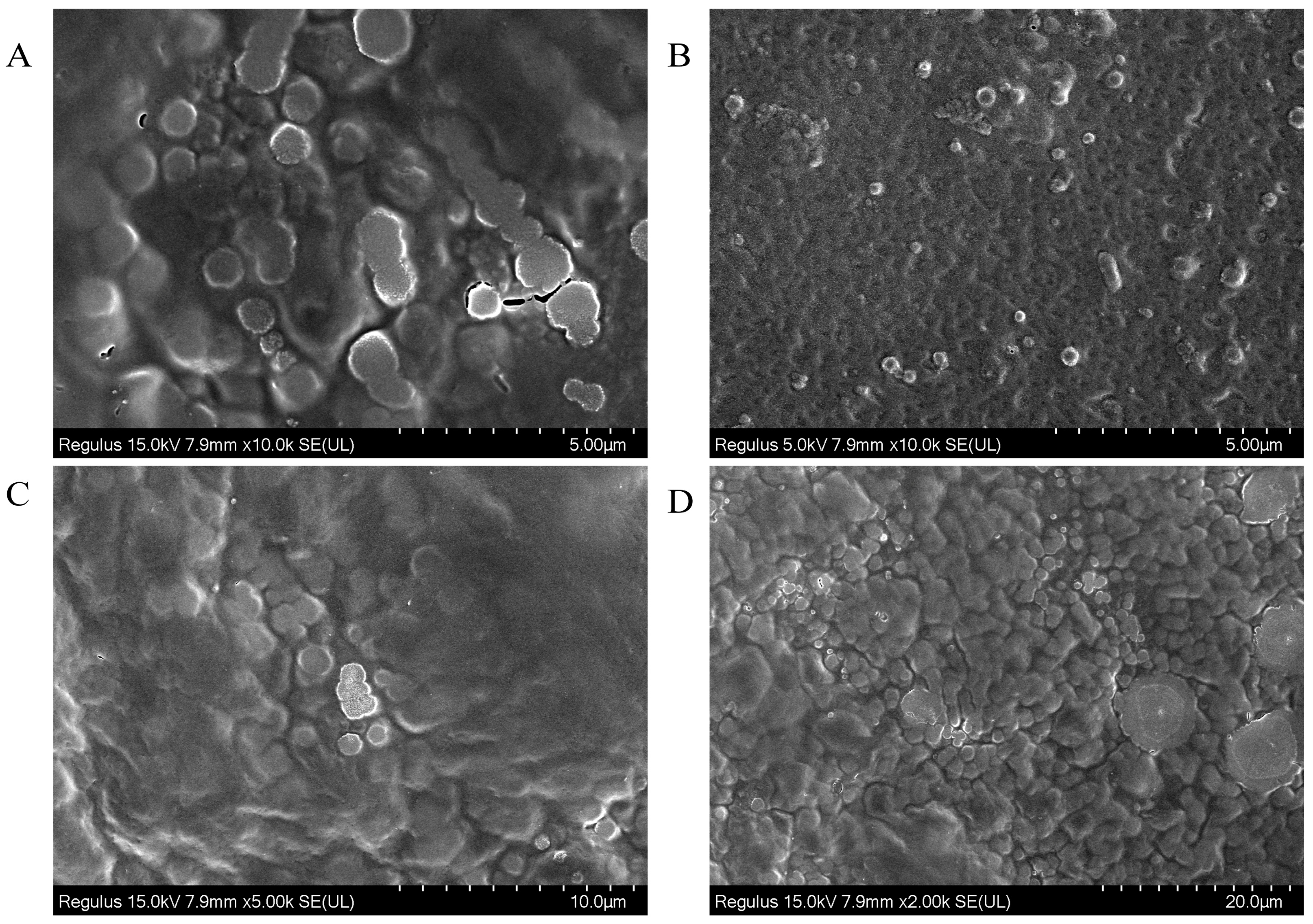 Polymers 15 03828 g002