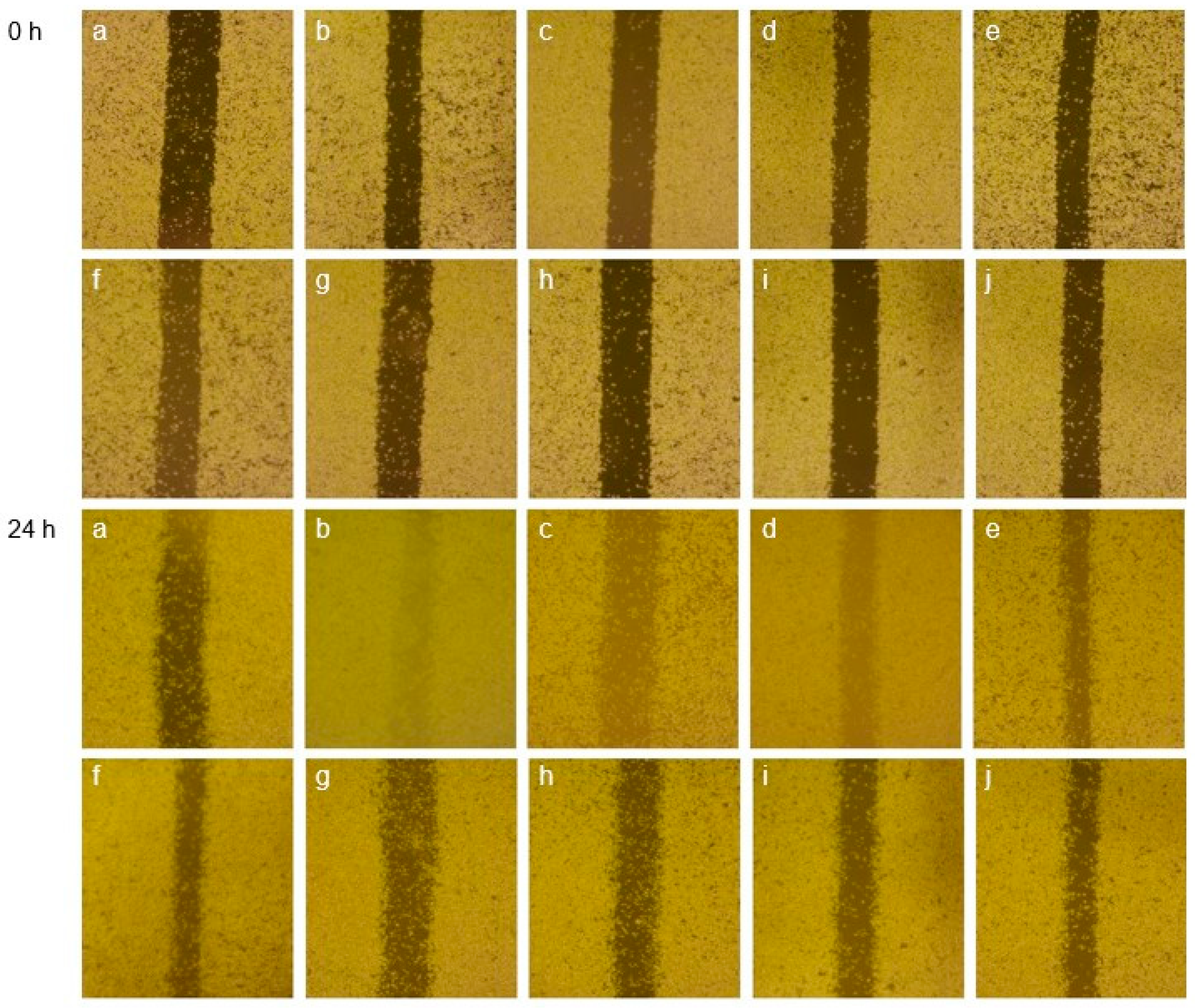 Polymers 15 03828 g005