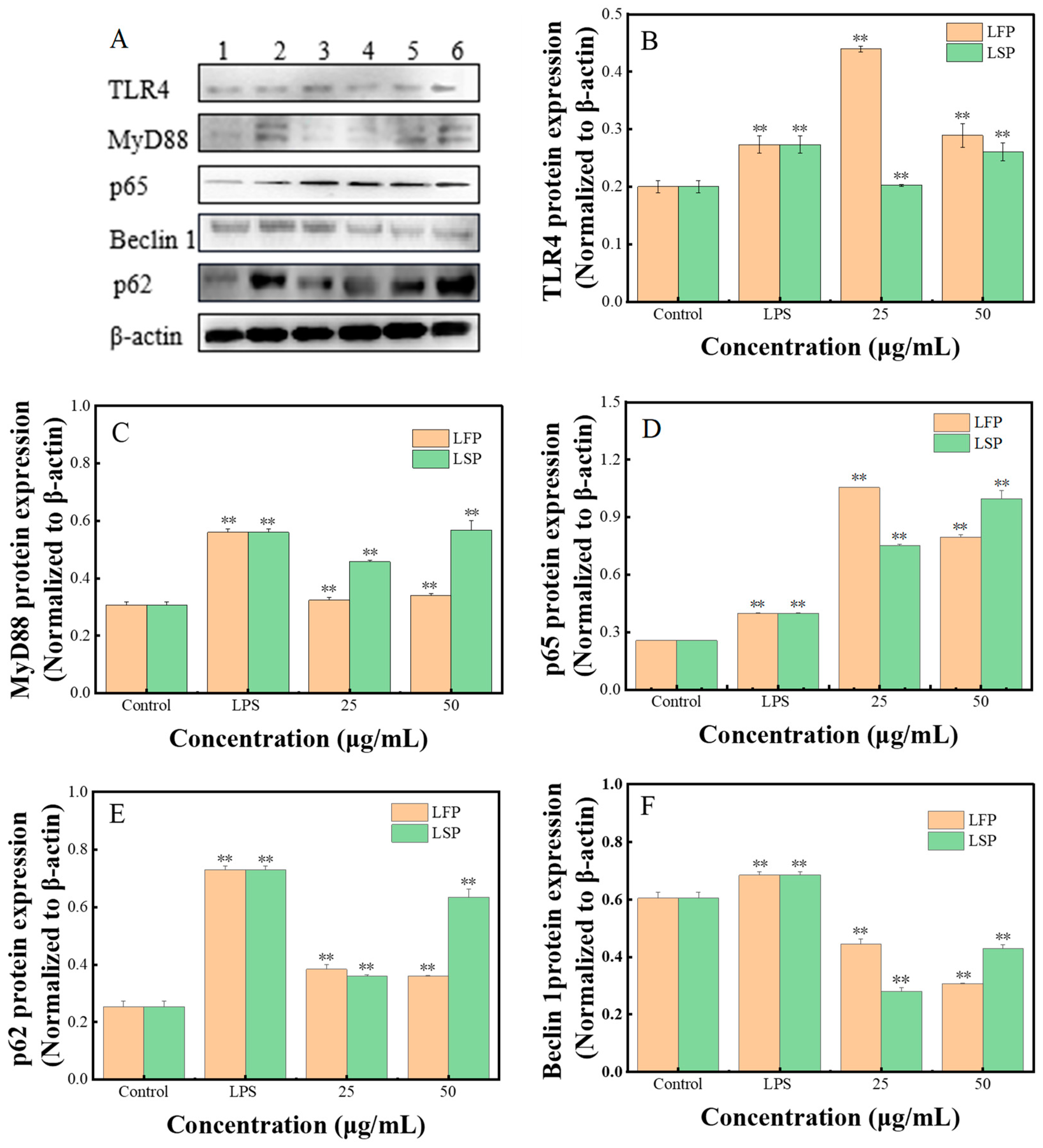 Polymers 15 03828 g007
