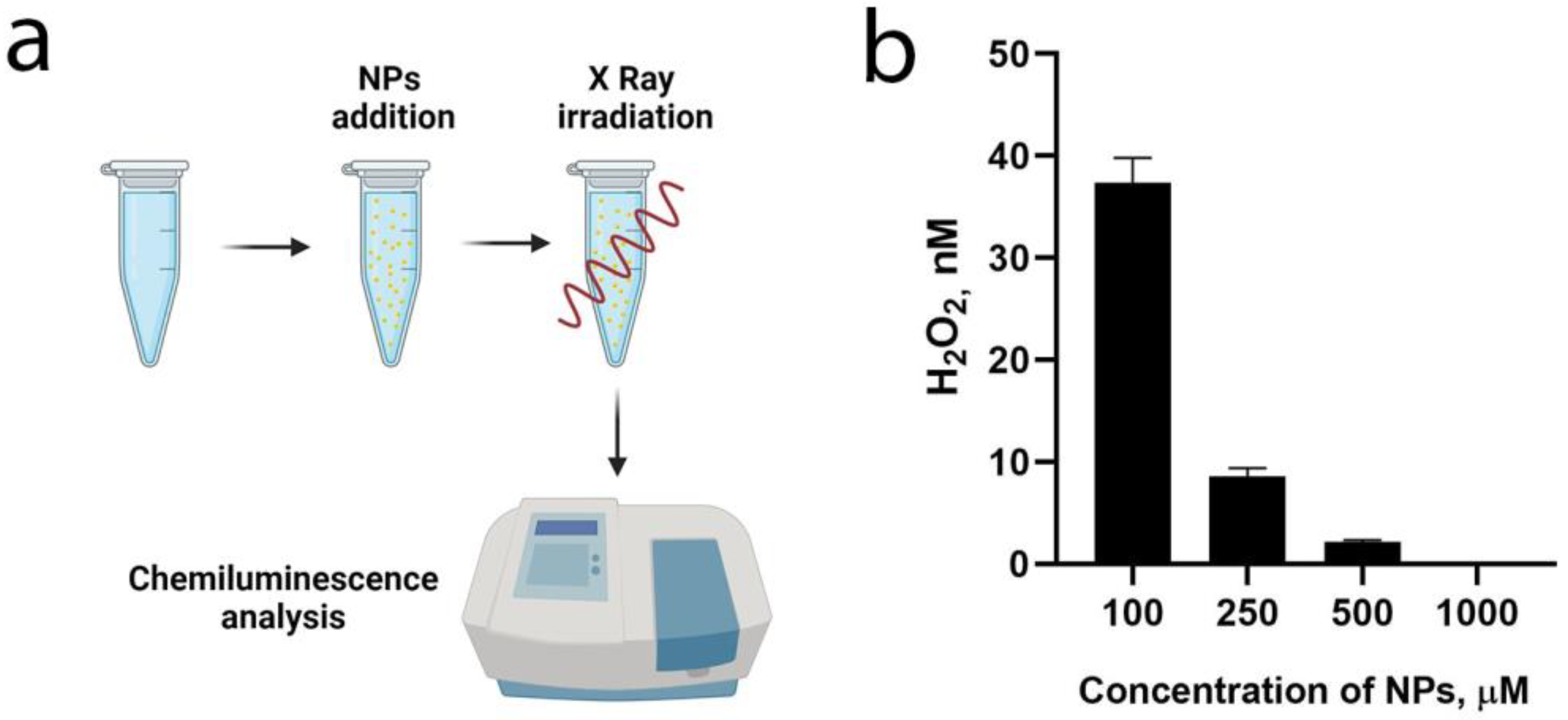 Polymers 15 03840 g002