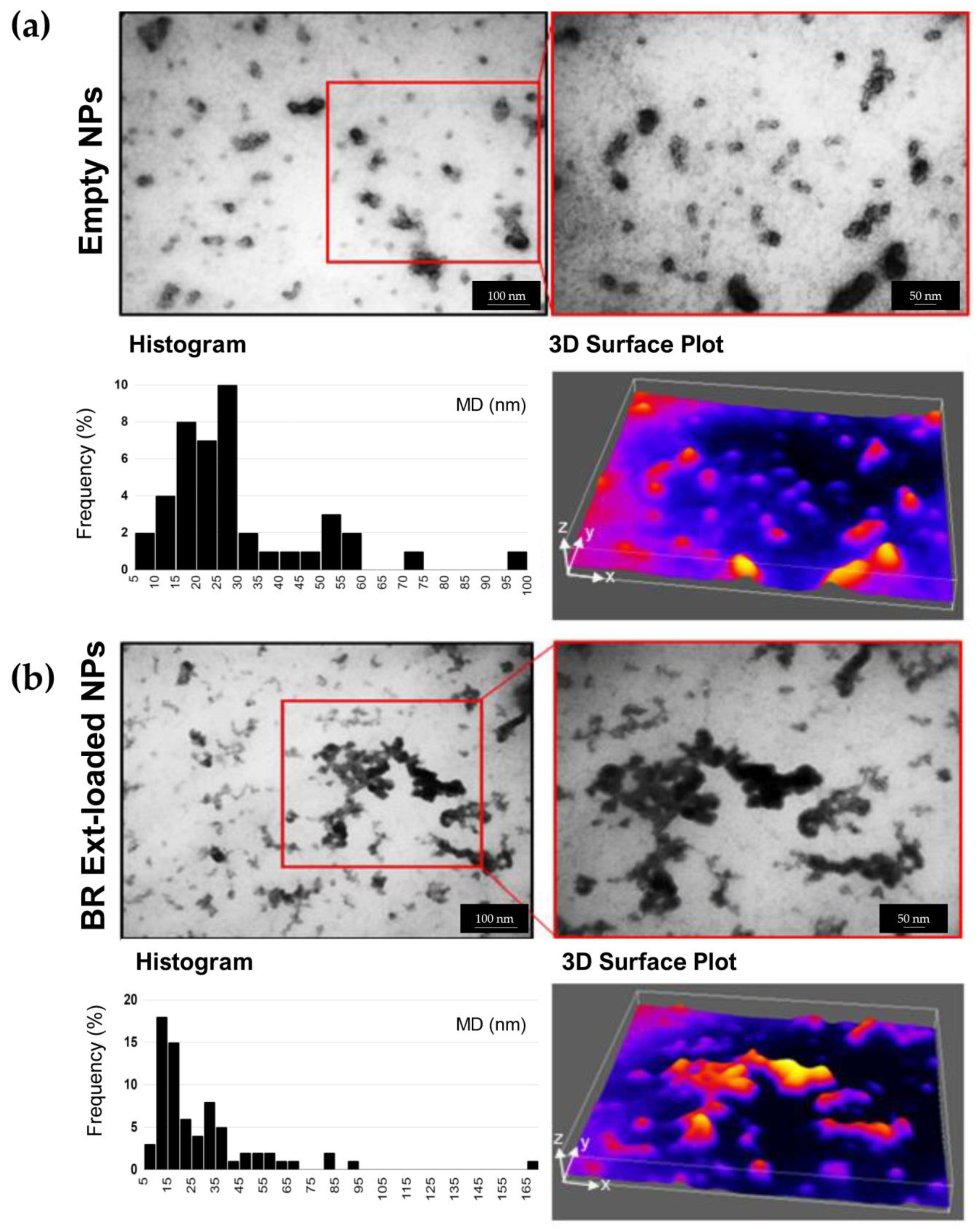 Polymers 15 03875 g004
