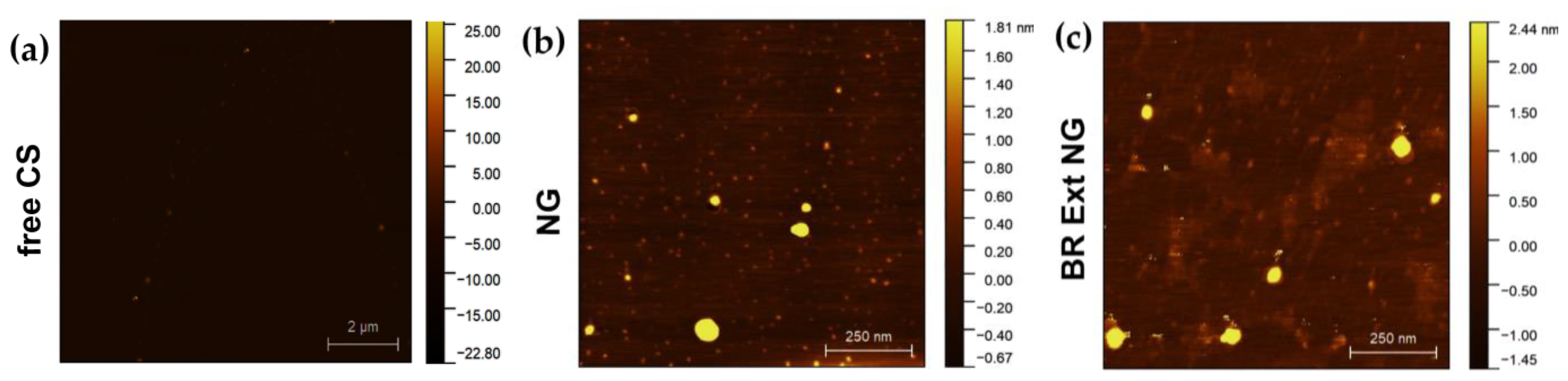 Polymers 15 03875 g005